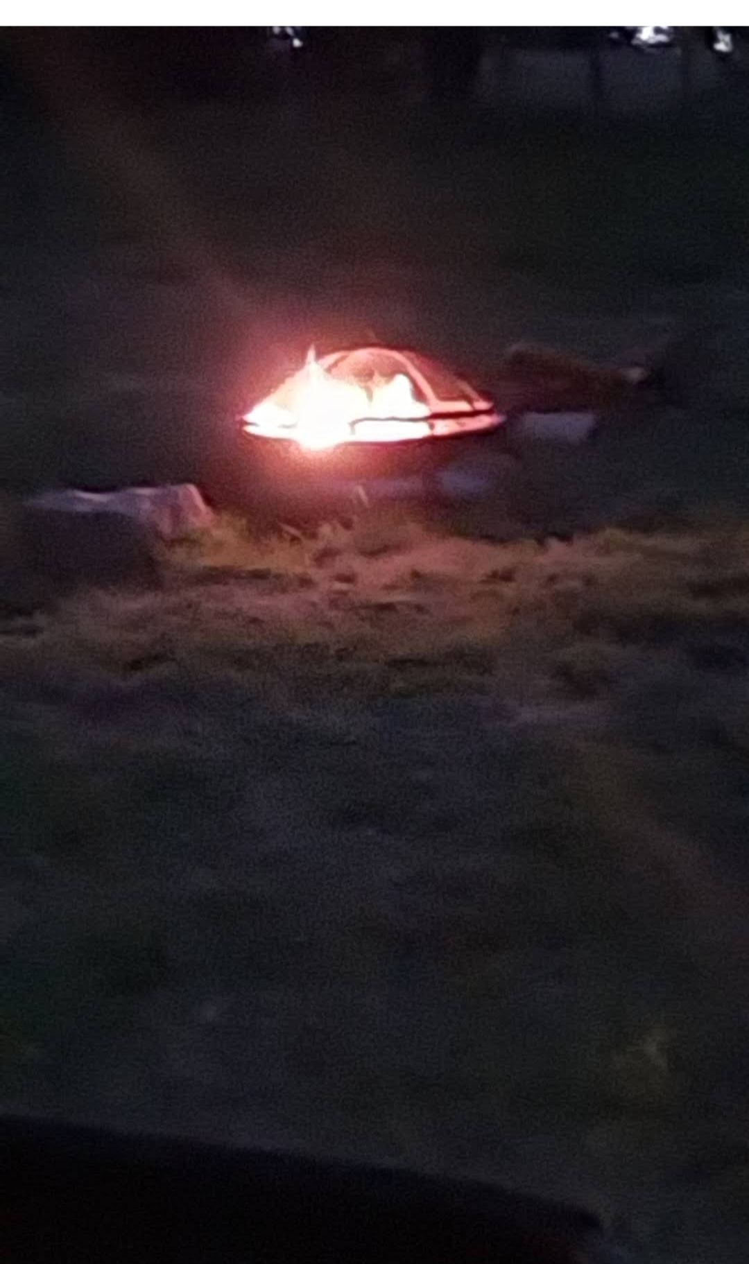 La Sphère étoilée : un wigwam enchanteur en pleine nature à Hauts-de-France — environnement naturel