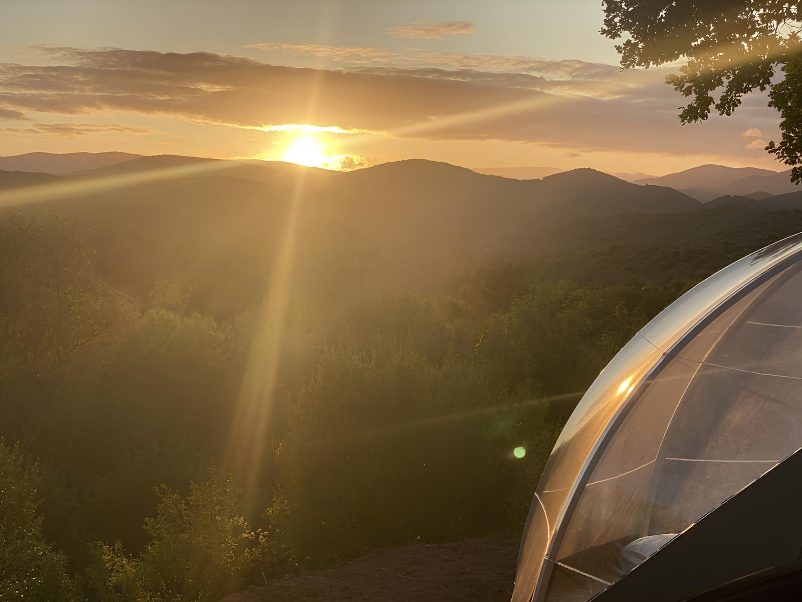 Bulle du Grand Chêne — Nuit étoilée à 4 personnes dans l'Hérault à Montpellier — chambre