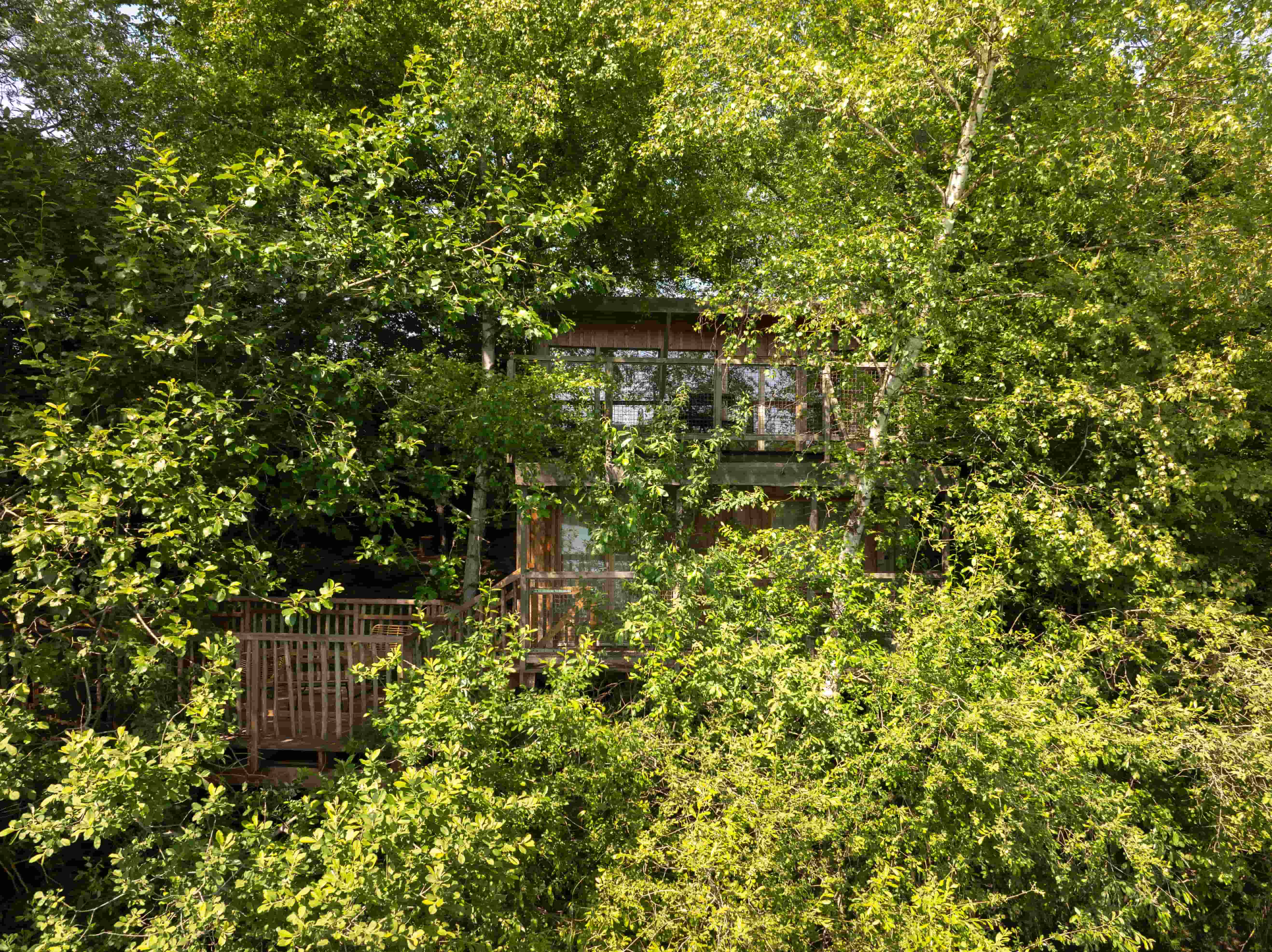 Cabane Spa Reflets Bleus : une évasion en Picardie à St-Léger-Aux-Bois — vue intérieure