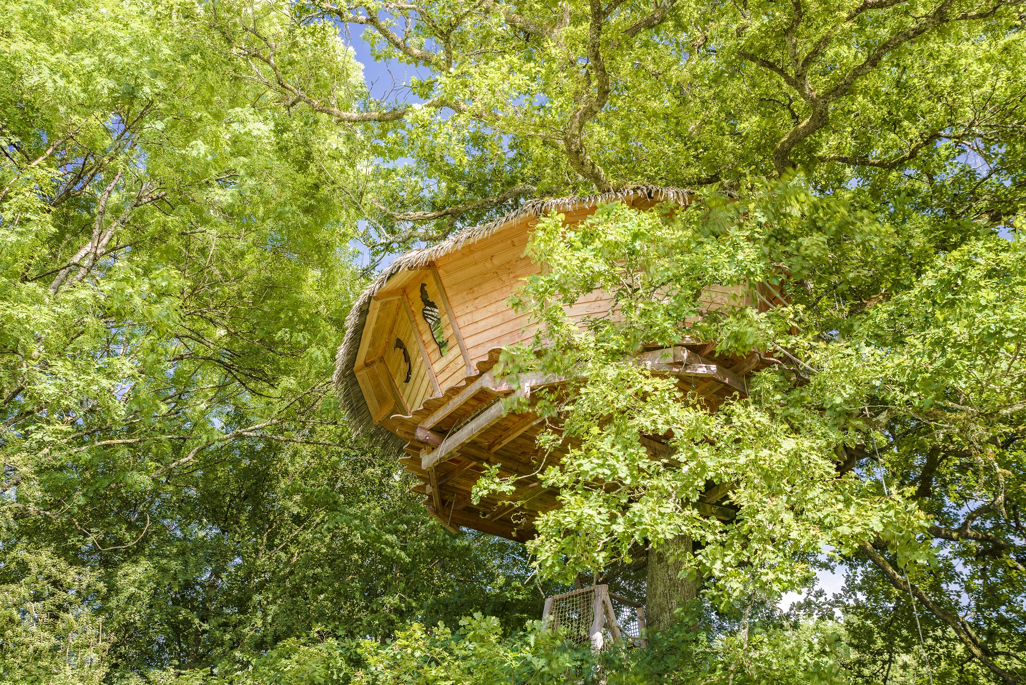 Cabane Extase : une immersion dans les arbres de Franche-Comté à Chassey-Lès-Montbozon — vue intérieure