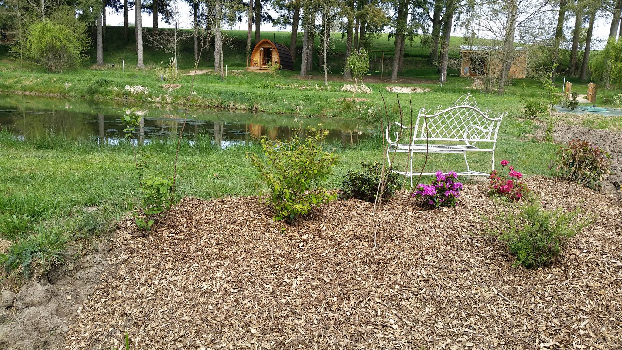 Cabane forestière : une immersion au cœur de l'Auvergne