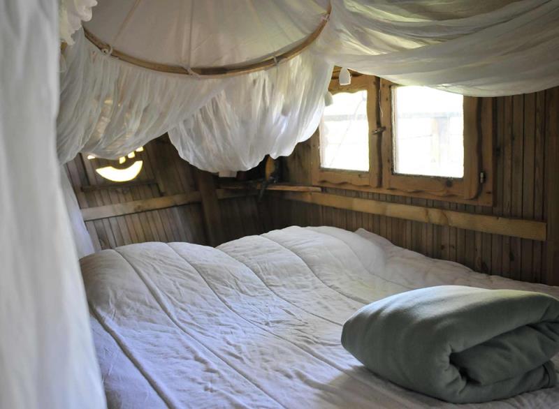 Cabane des Lémuriens : une échappée verte dans les arbres à Magné — espace de vie