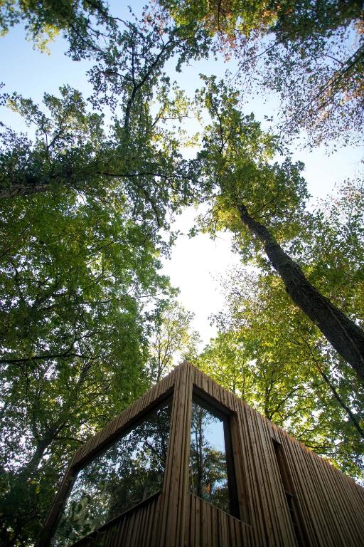 Lodge T(h)REES & Spa : une évasion sur pilotis à Esvres-Sur-Indre — détail architectural
