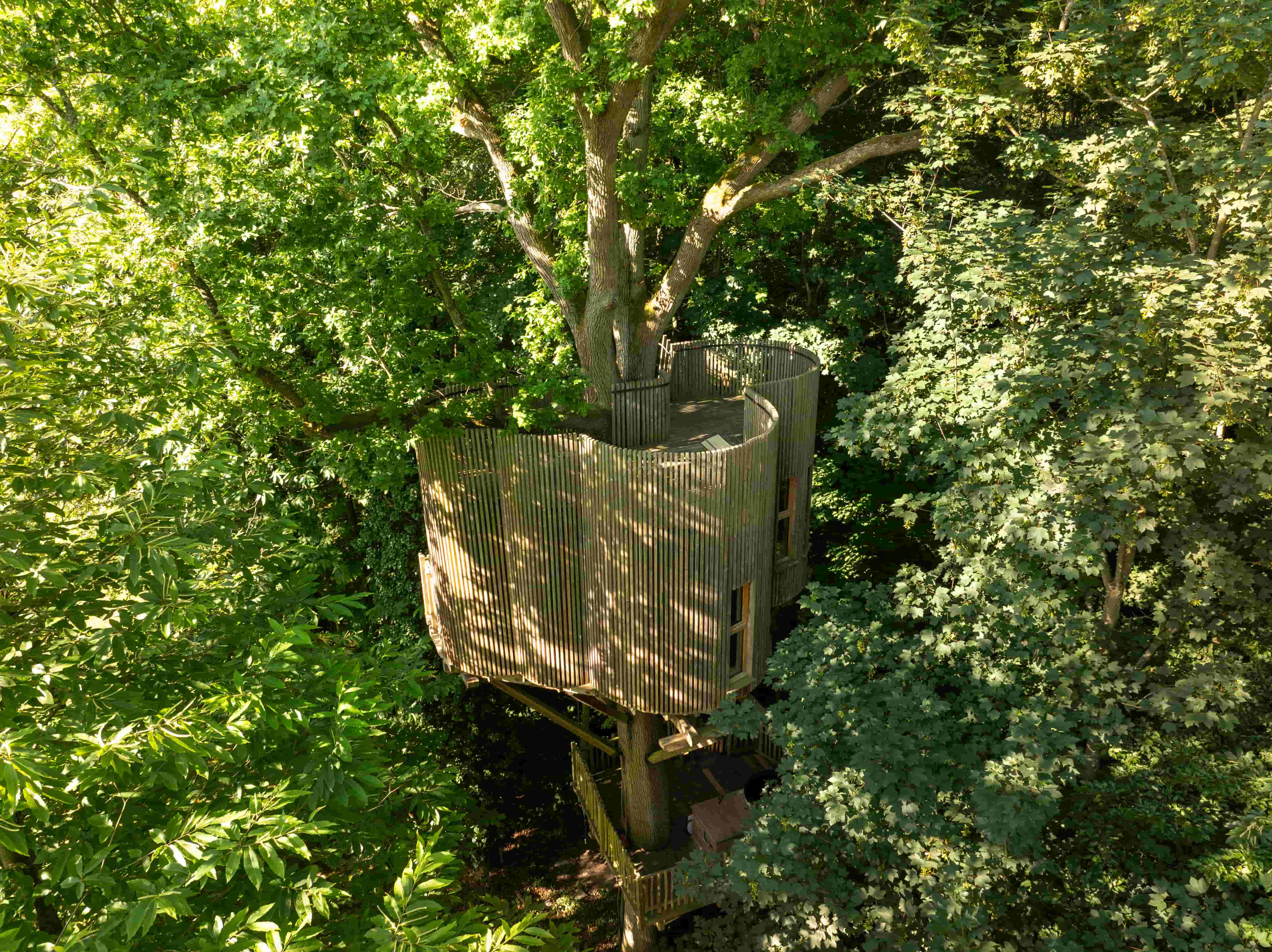 Cabane Spa Émotion : une expérience unique dans les arbres à Raray — vue intérieure