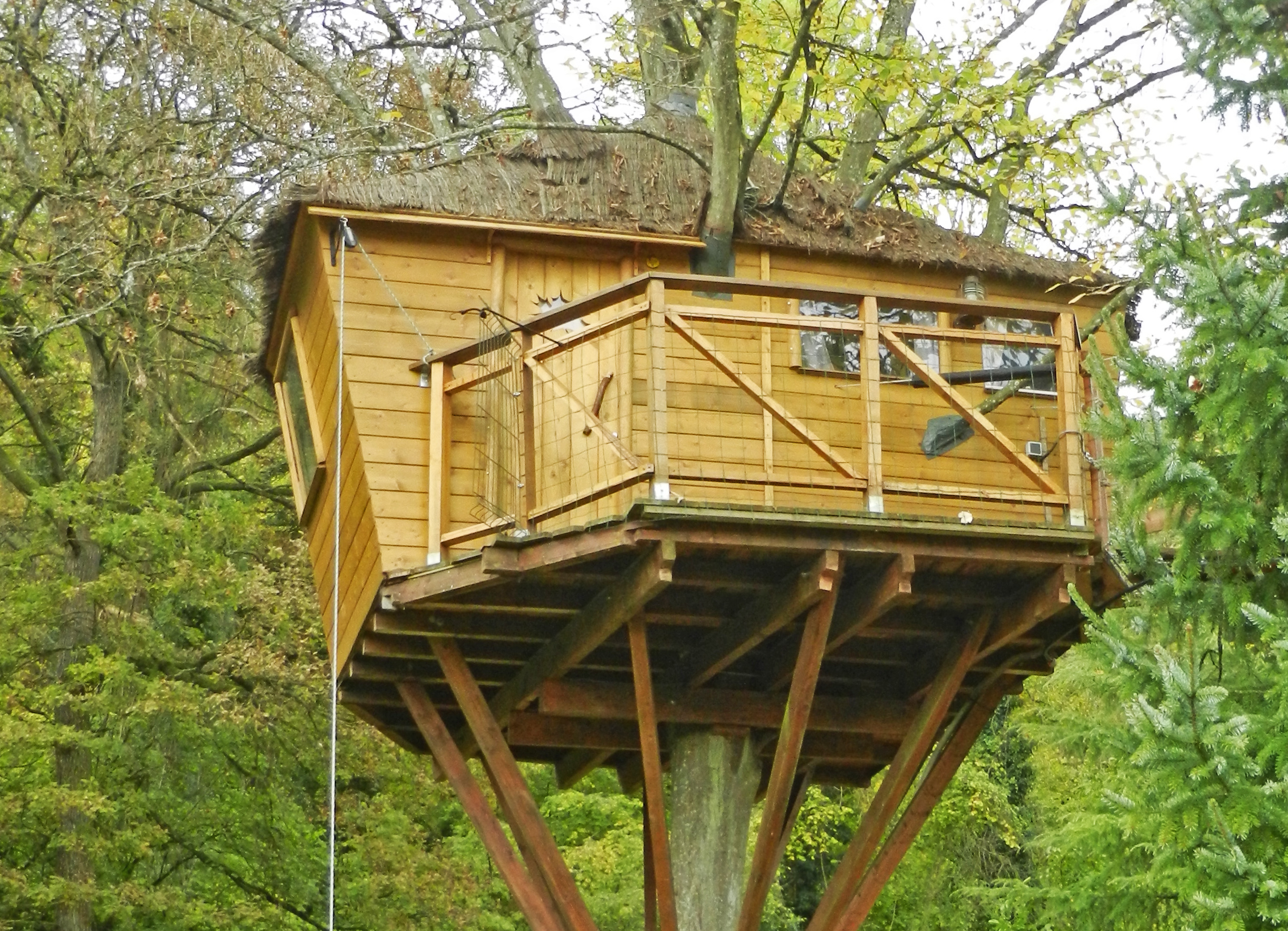 La Cabane du Charme : une expérience suspendue dans les arbres à Chamigny — cuisine