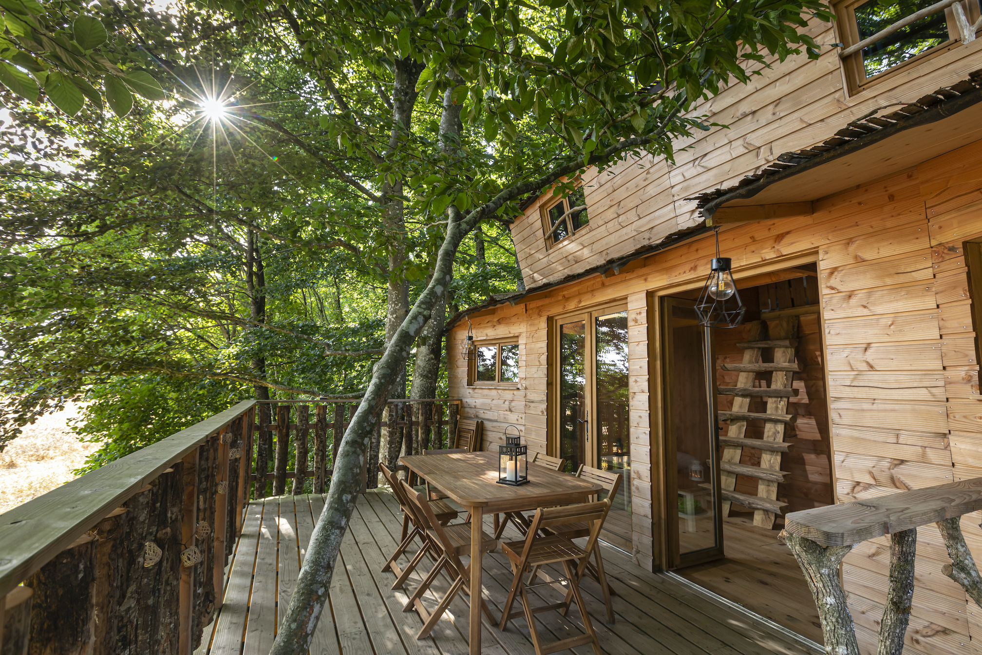 Suricate : une cabane sur pilotis au cœur de la nature normande