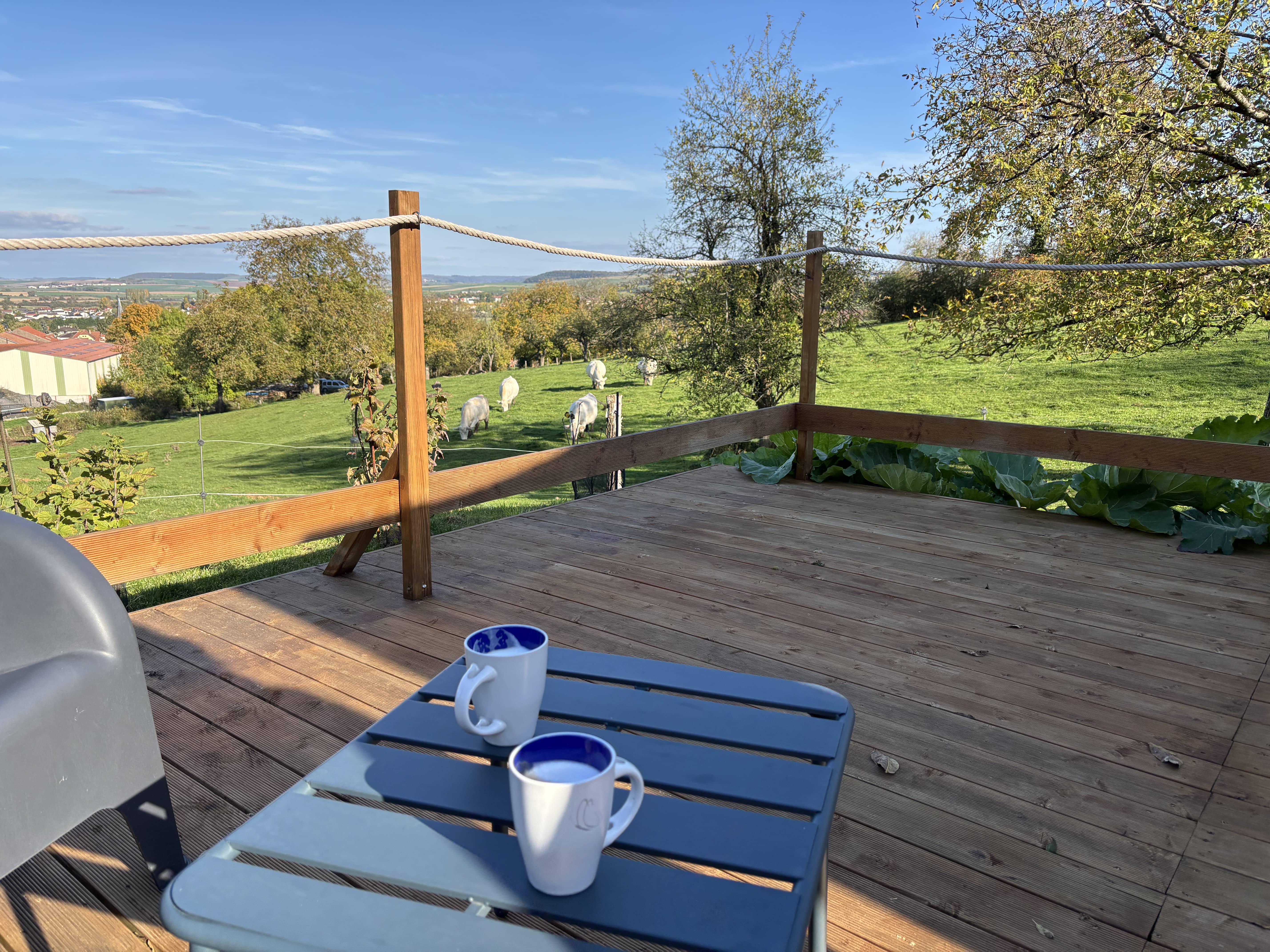 Dôme Ambre — Évasion romantique avec spa à Moselle à Ars-sur-Moselle — vue depuis la terrasse