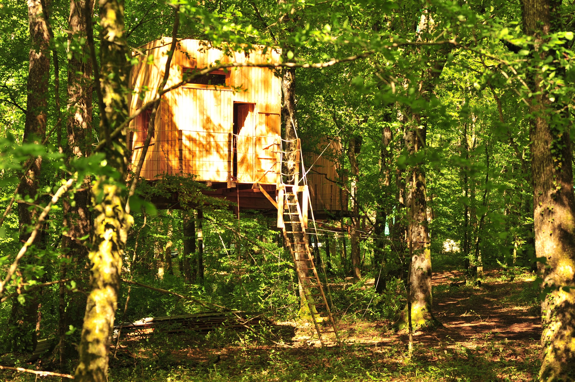 La Cabane du Héron : une expérience immersive dans les arbres