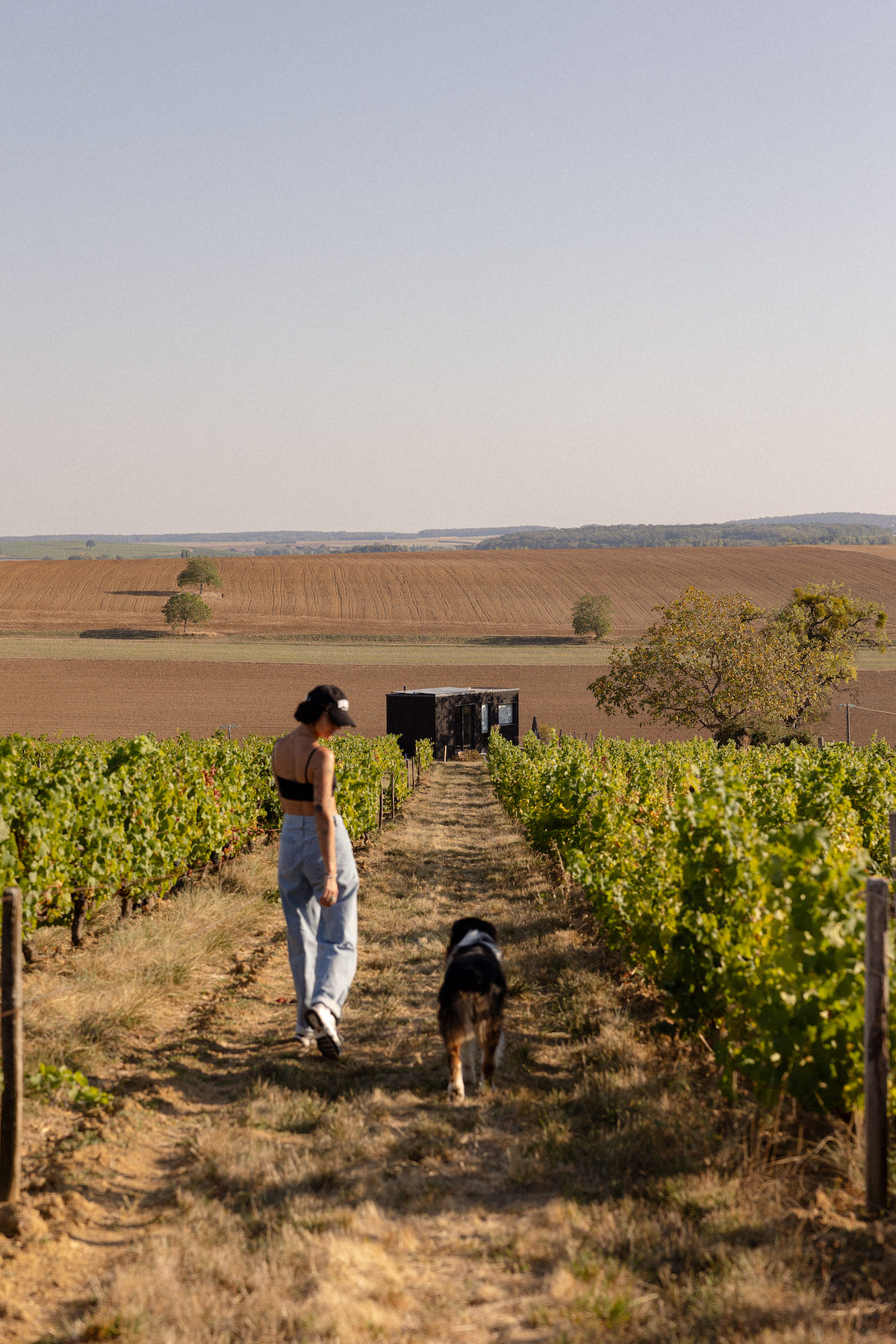 Tiny house moderne au cœur des vignes de Bourgogne à Saint-Père — environnement naturel