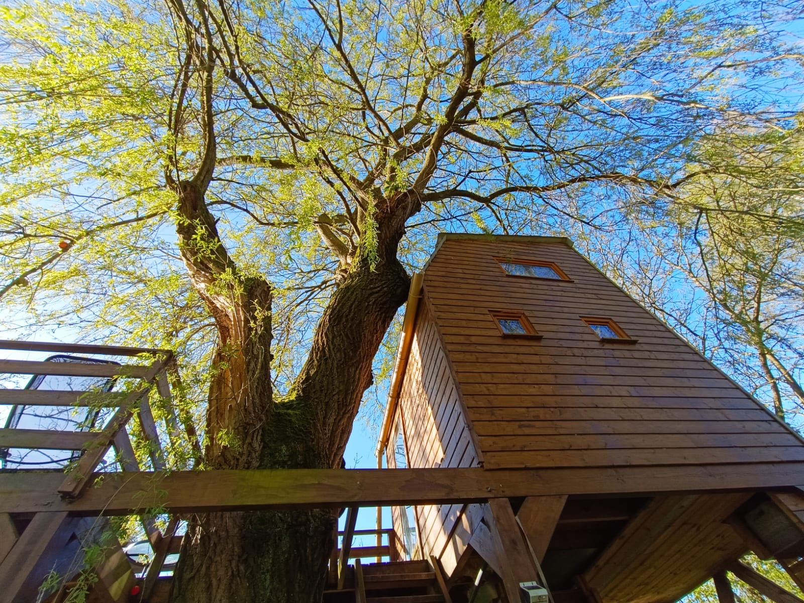 Éveillez vos sens dans une cabane perchée en Picardie à Vadencourt — chambre