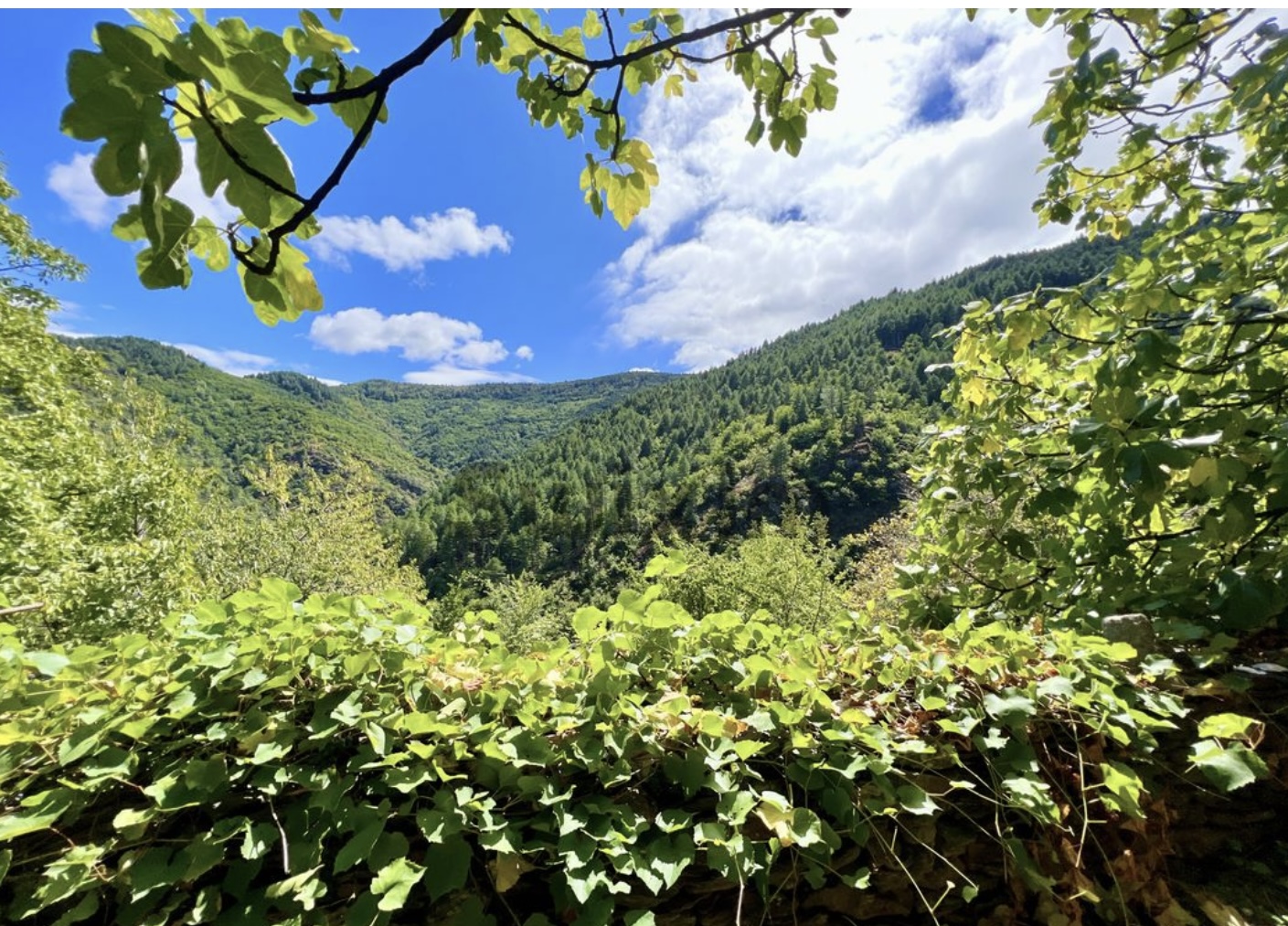 Yourte Ardèche — Nuit au bord d'un bassin naturel dans le Gard à Nîmes — environnement naturel