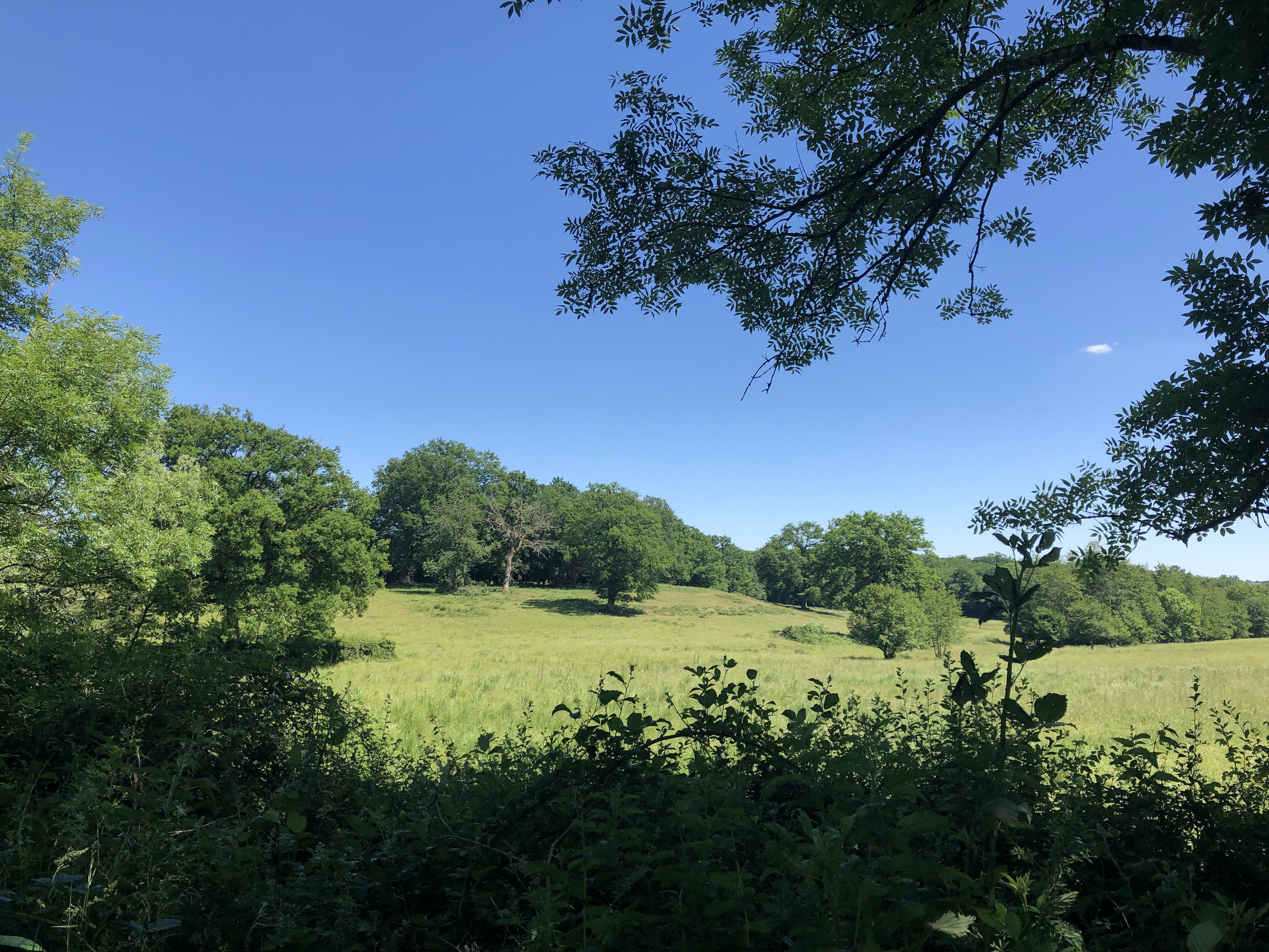 Tipi Söra — Séjour authentique avec spa à Côte-d'Or à Dijon — vue depuis la terrasse