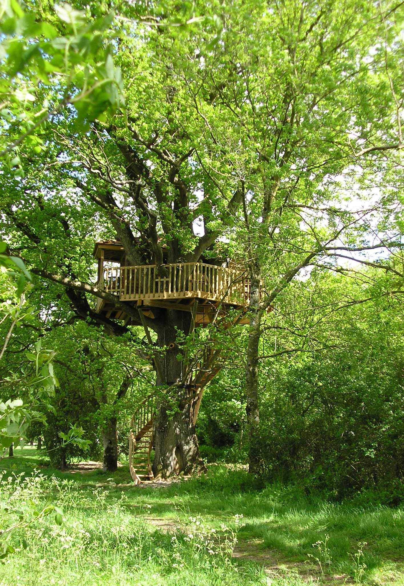 Bruit d'O — Cabane dans les arbres à 8m de hauteur en Maine-et-Loire