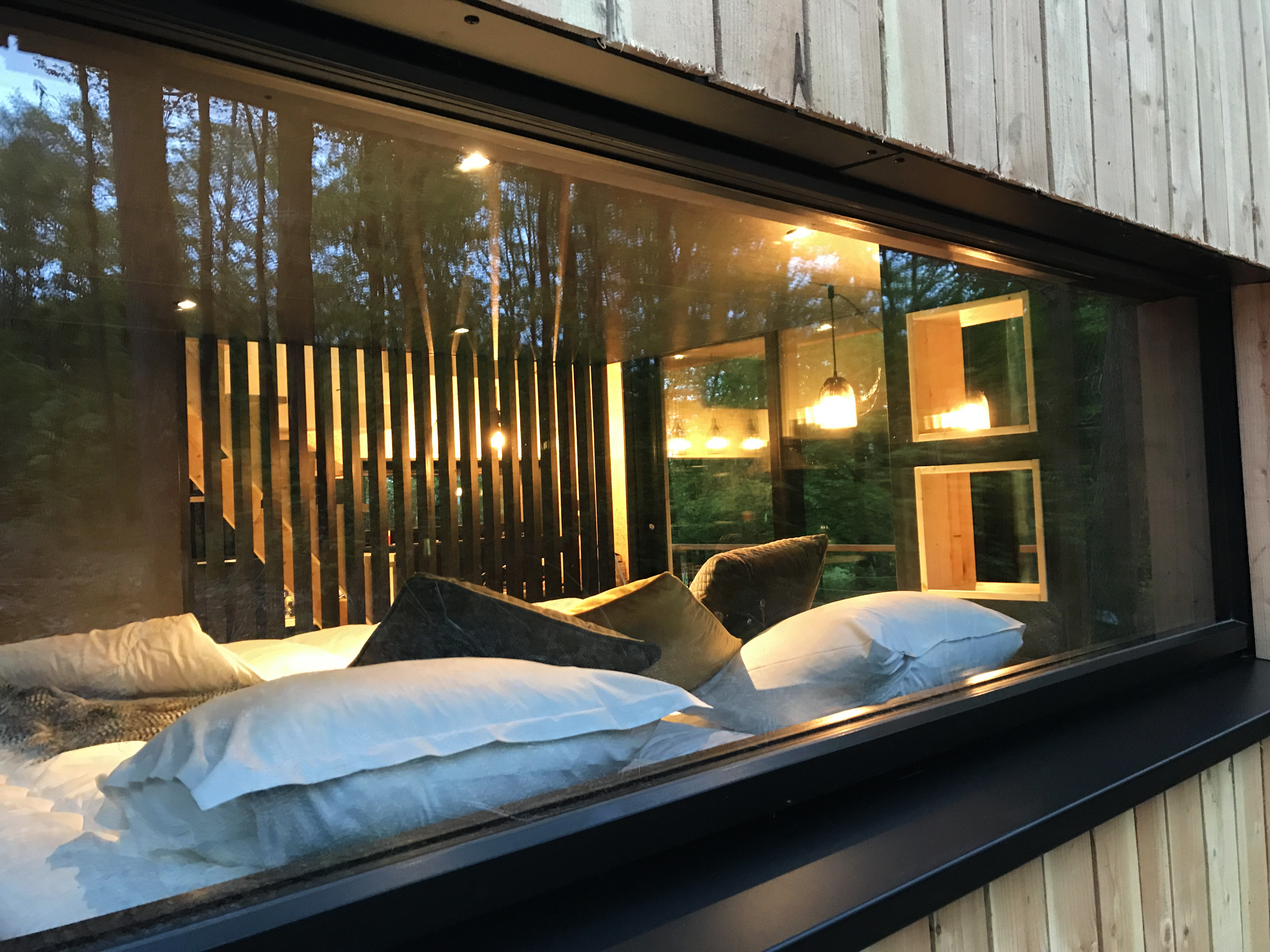 Photo 5/9 — Ecolodge « Forest Cube — Ecolodge avec spa à Namur » à Namur Wallonie