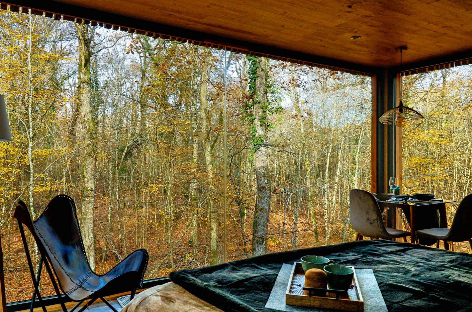 Suite « Les Ailes du Désir » — Cabane sur pilotis avec spa à Indre-et-Loire à Tours — espace de vie