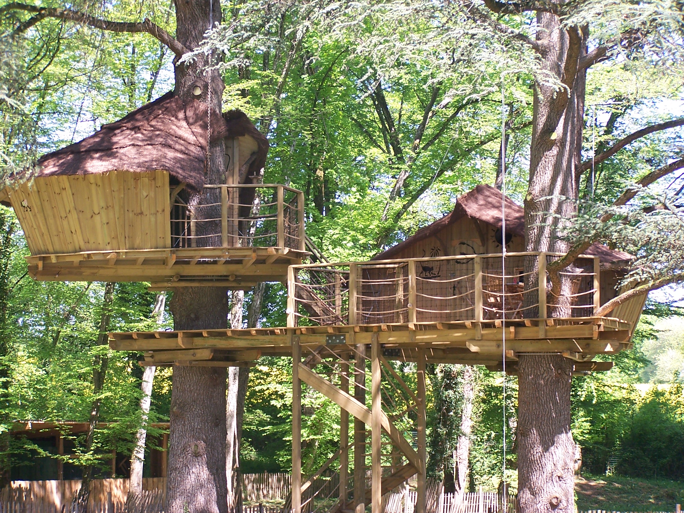 Cabane des Ouistitis : une expérience suspendue dans les arbres — Cabane à Magné