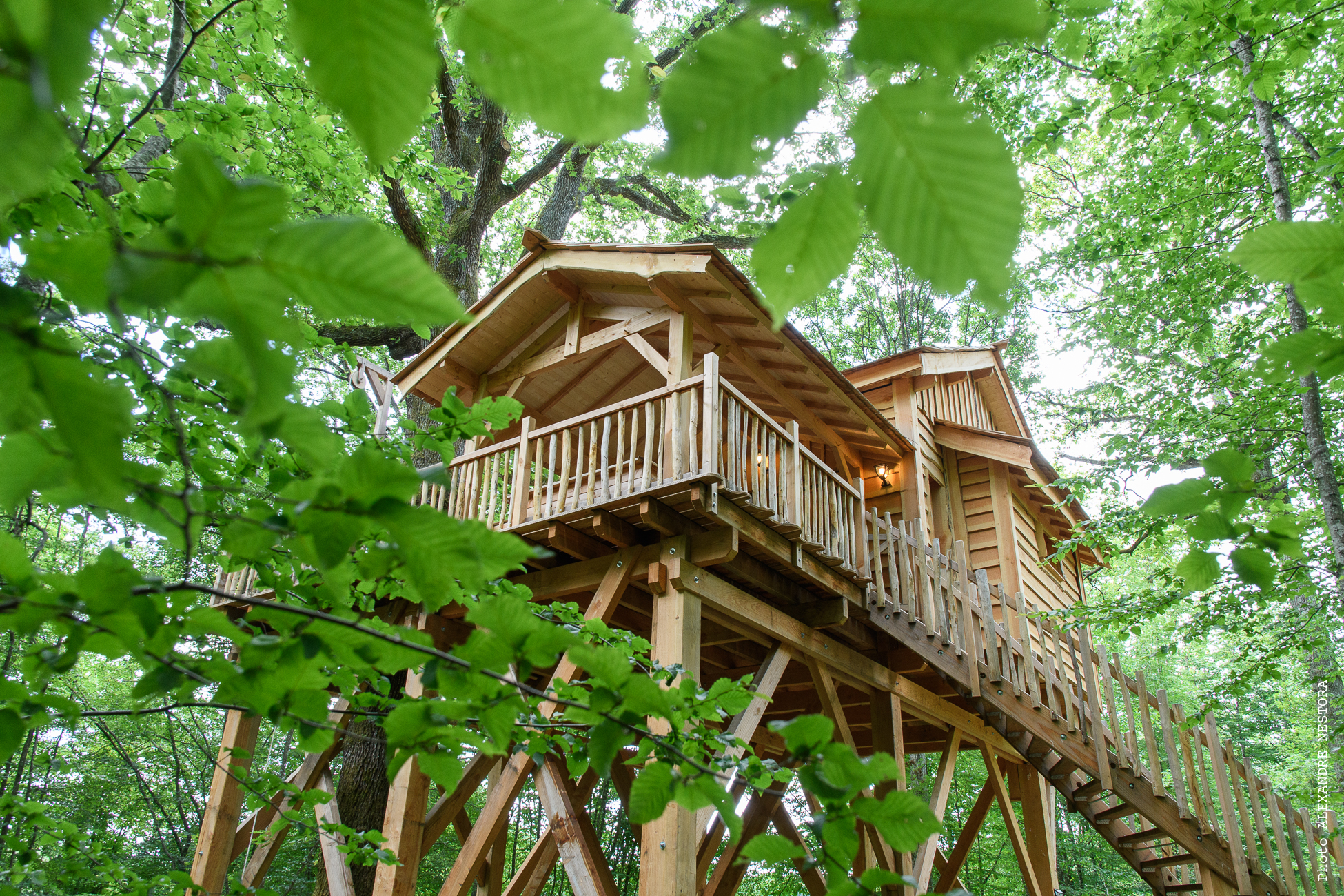 La Cabane aux Oiseaux & Spa : une expérience suspendue dans les arbres à La Bussière — espace de vie