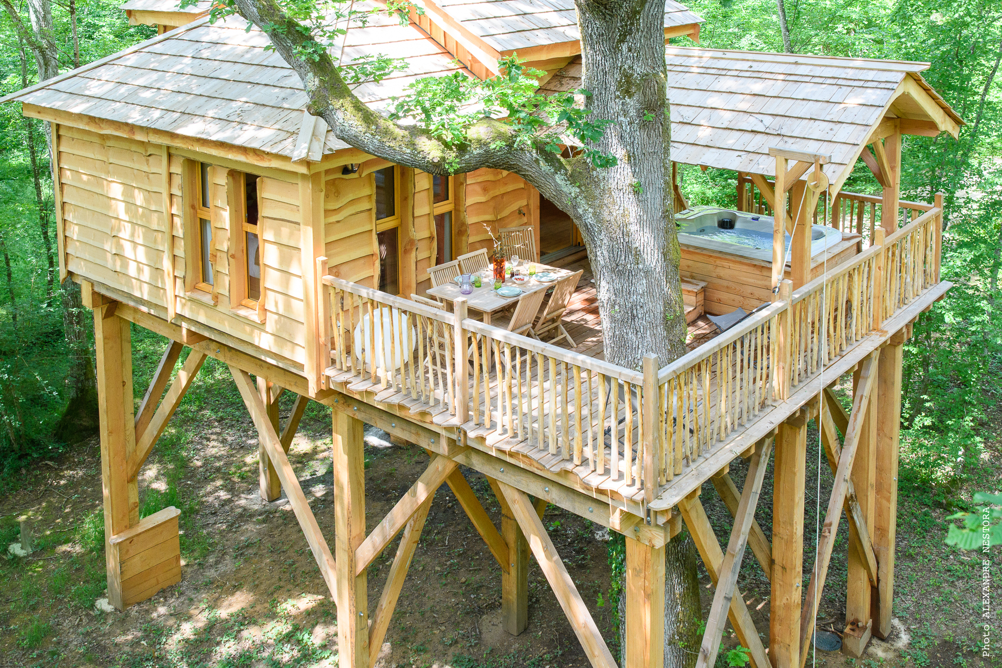 La Cabane aux Oiseaux & Spa : une expérience suspendue dans les arbres