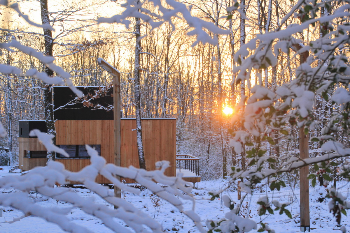 Photo 2/9 — Ecolodge « Forest Cube — Ecolodge avec spa à Namur » à Namur Wallonie