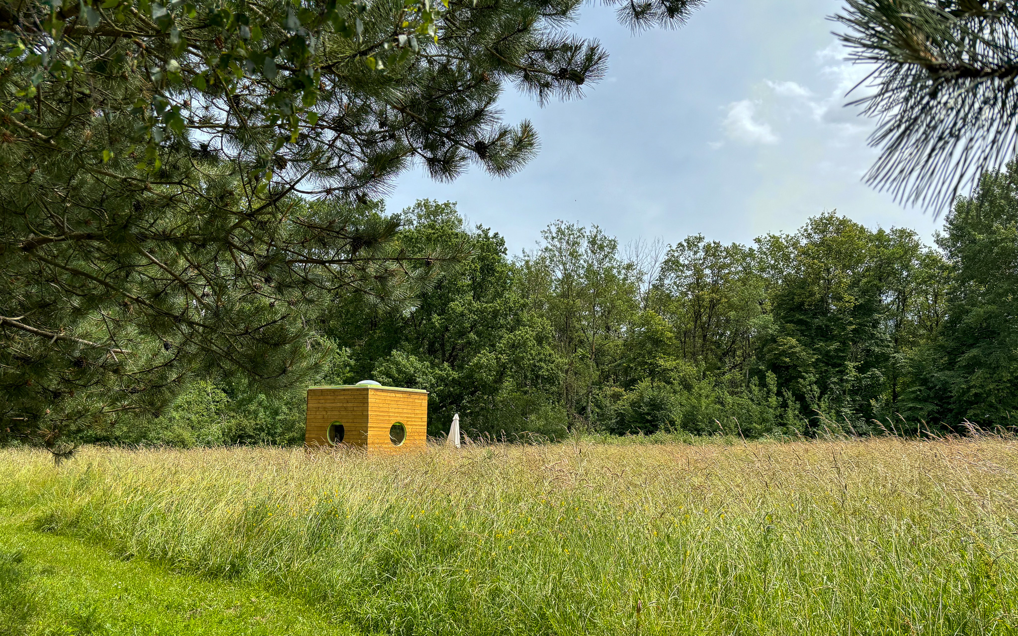 Carré d'étoiles Vénus : une cabane poétique au cœur de la nature