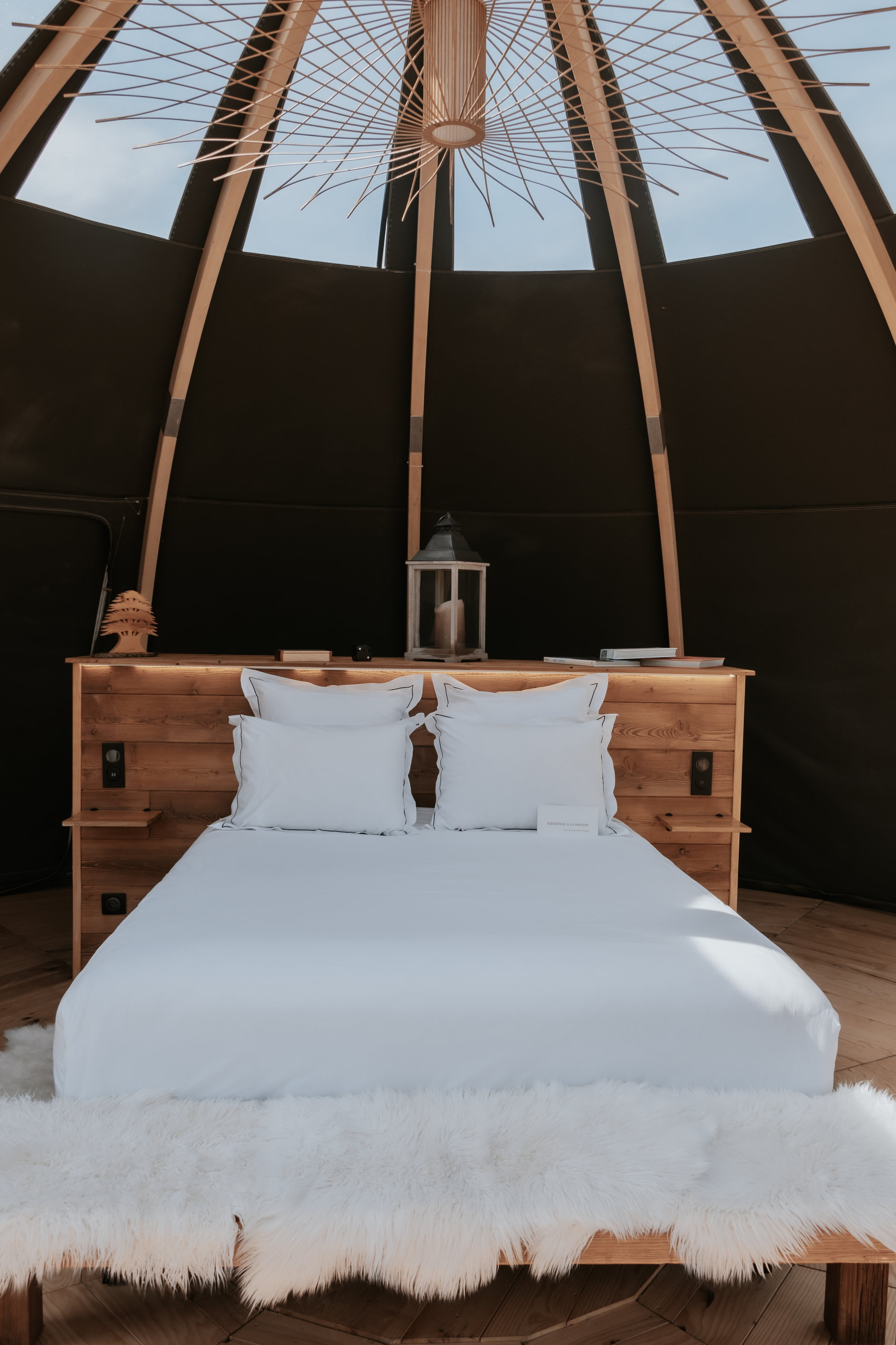 33ème Chambre - Les Cèdres