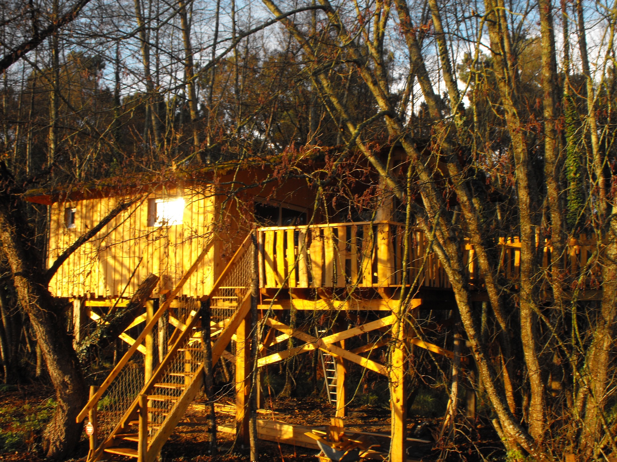 Cabane des Cerfs : une expérience suspendue en Aquitaine à Allons — vue intérieure