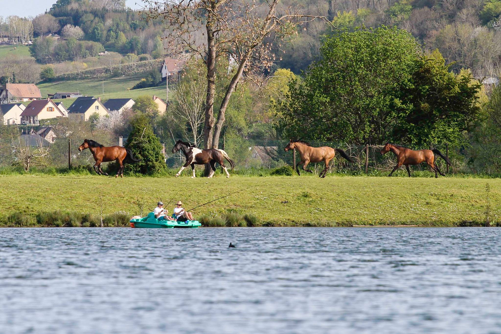 Une yourte en Picardie : immersion au cœur de la nature à Beauchamps — cuisine