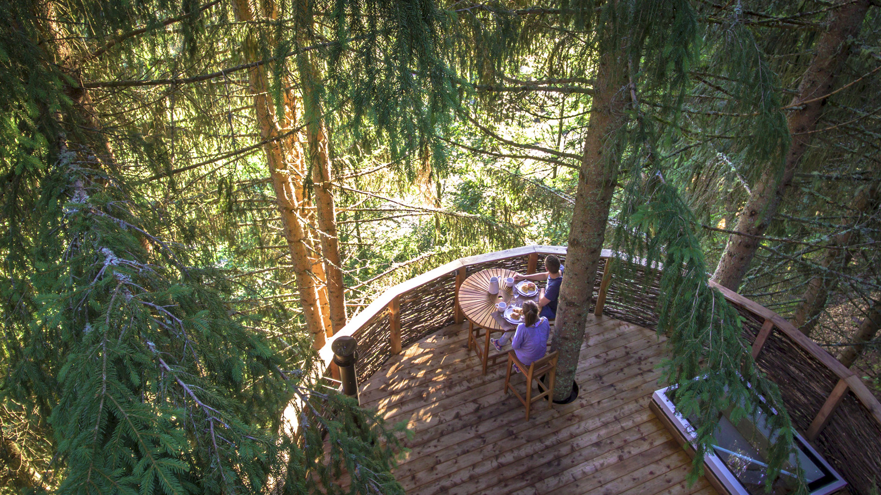 Cabane Nid : une échappée belle dans les arbres