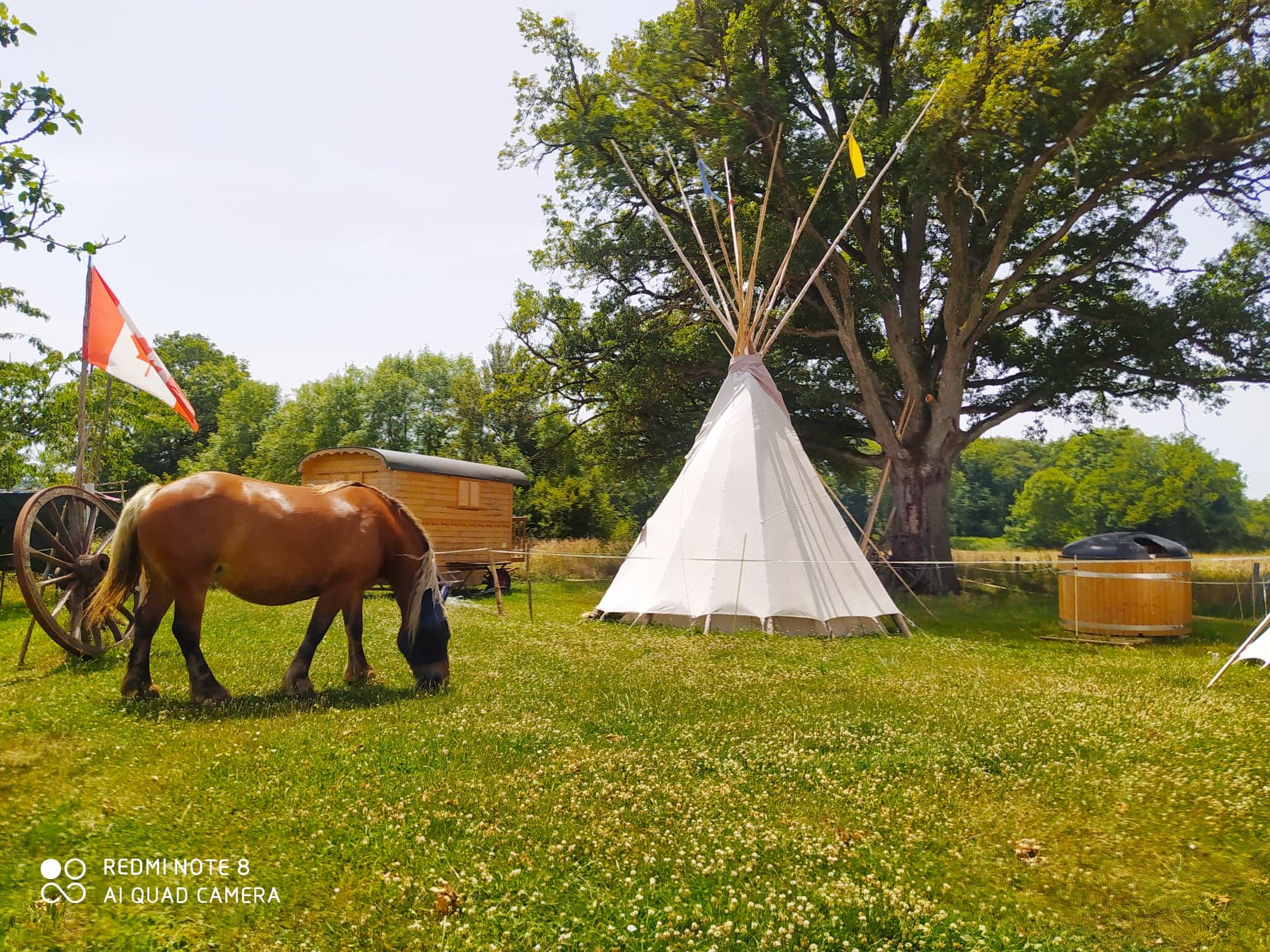 Vivez l'expérience unique du Tipi Sioux en Limousin à Saint Martial Sur Isop — vue intérieure