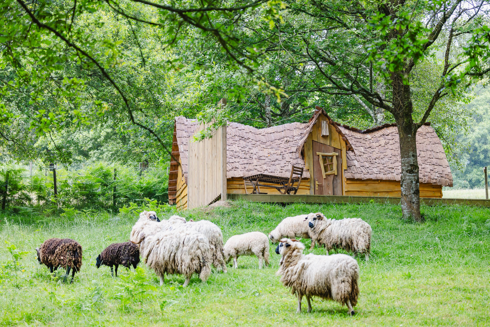 Cabane enchantée : une évasion féérique en Bretagne à Plumeliau — espace de vie