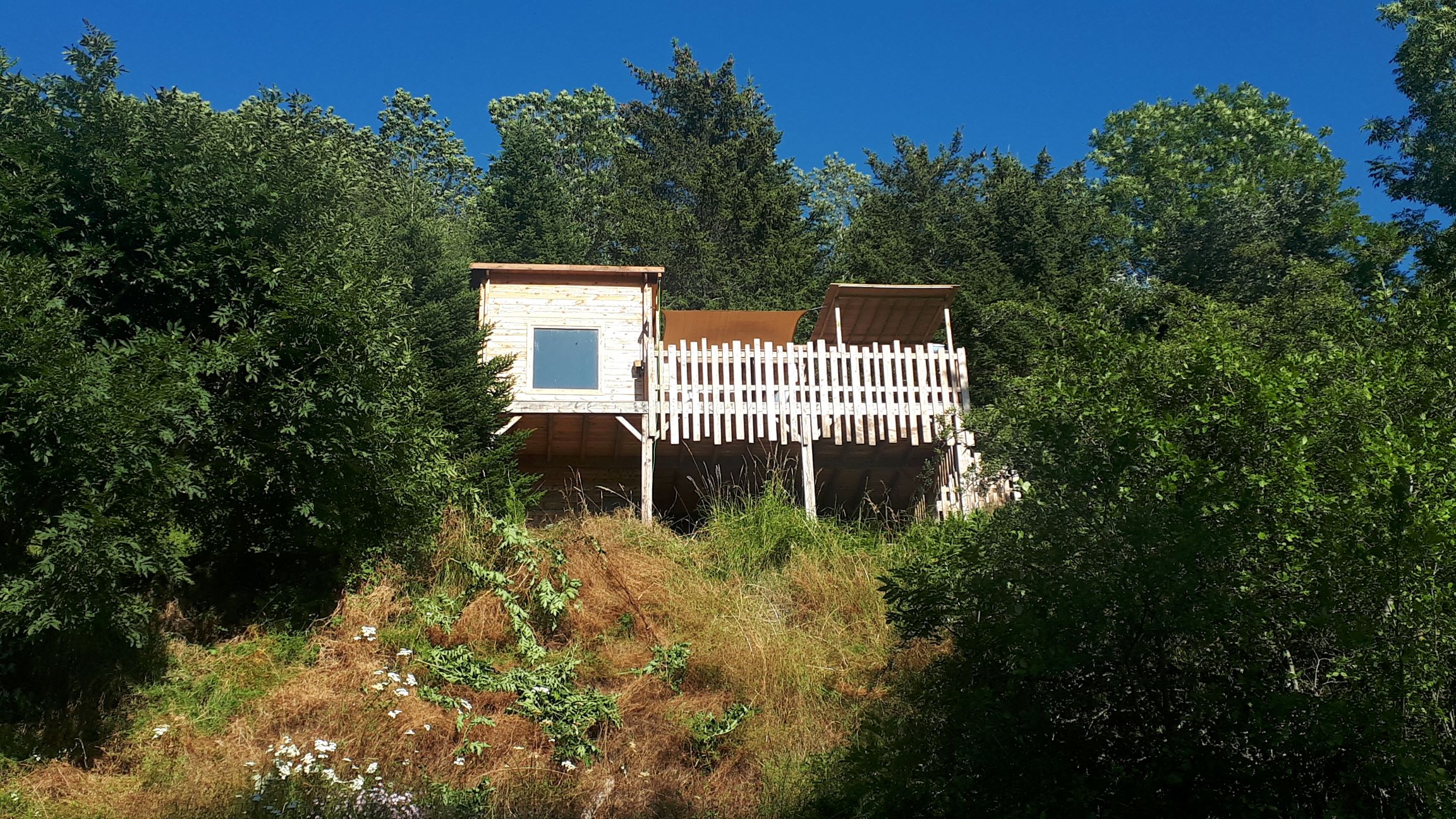 Cabane sur pilotis avec spa : une expérience unique en Auvergne à Cheylade — environnement naturel