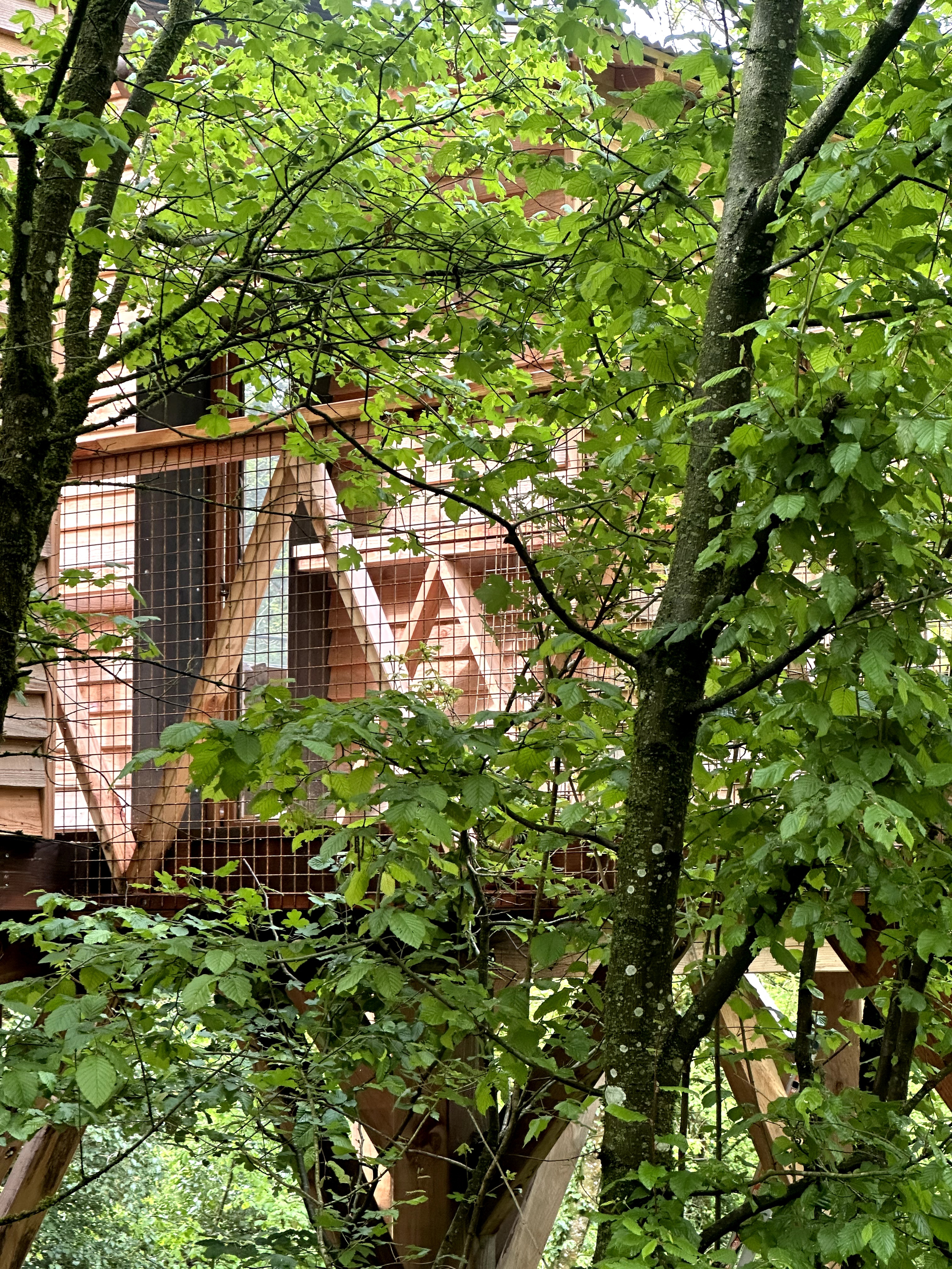 Mirà - Cabane sur pilotis au cœur des Jardins Secrets à Vaulx — salle de bain