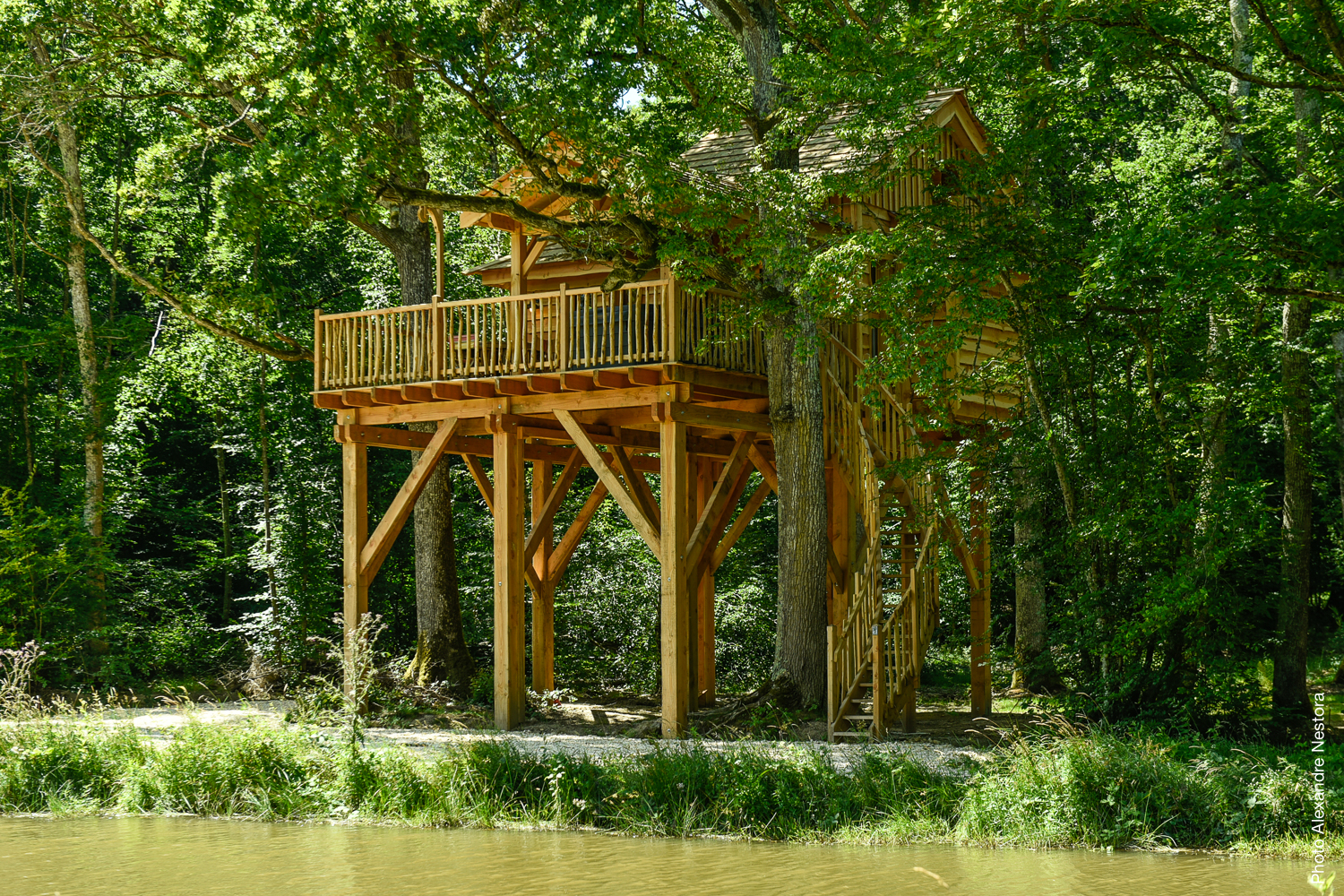 La Cabane de l'Etang & Spa : une évasion dans les arbres à La Bussiere — cuisine