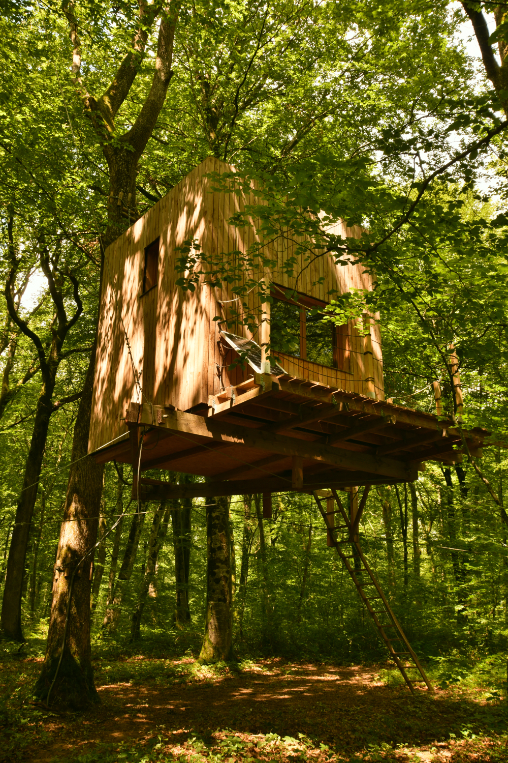 La Cabane Refuge : une évasion dans les arbres en Franche-Comté à Mont Sous Vaudrey — vue intérieure