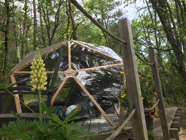 Le Sweet' dôme : une expérience unique en Aquitaine à Montignac-Lascaux — détail architectural
