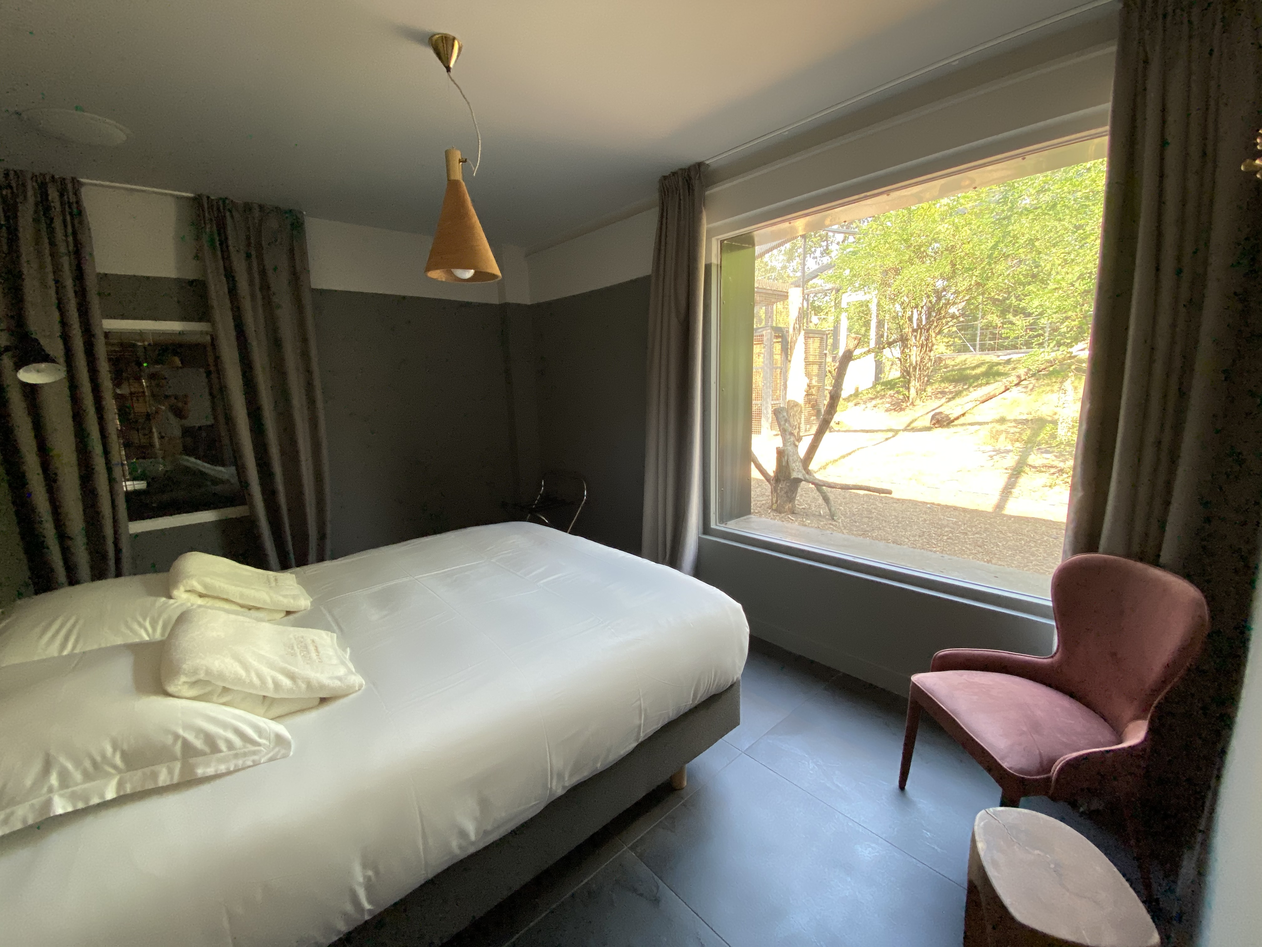 Lodge Jaguars : une immersion thématique en Aquitaine à Pessac — vue depuis la terrasse