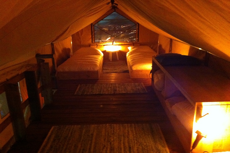 Safari Lodge : une expérience immersive en pleine nature à Batilly-En-Puisaye — environnement naturel