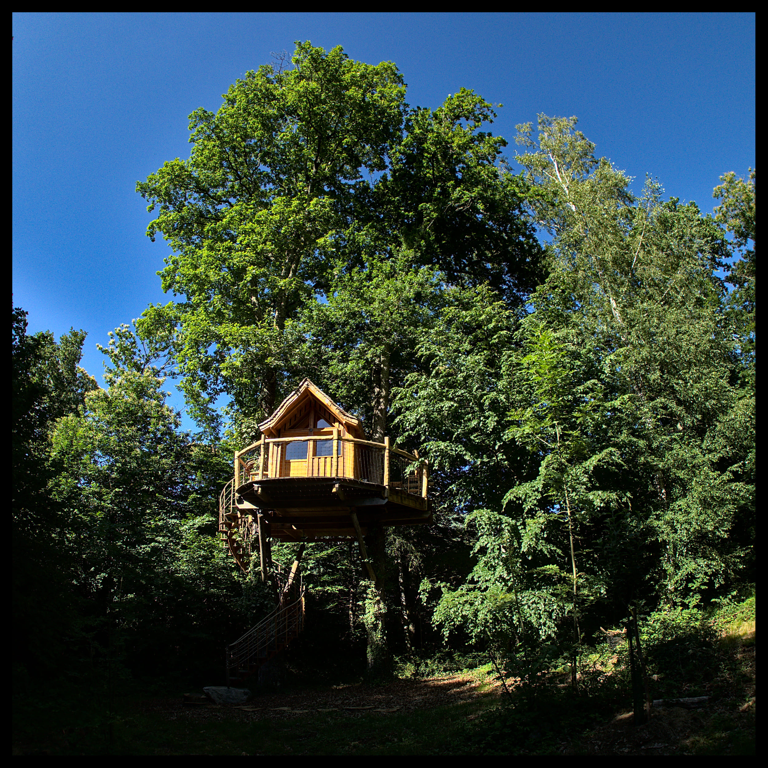 Aima : une cabane perchée au cœur des arbres en Aquitaine à Accous — vue intérieure