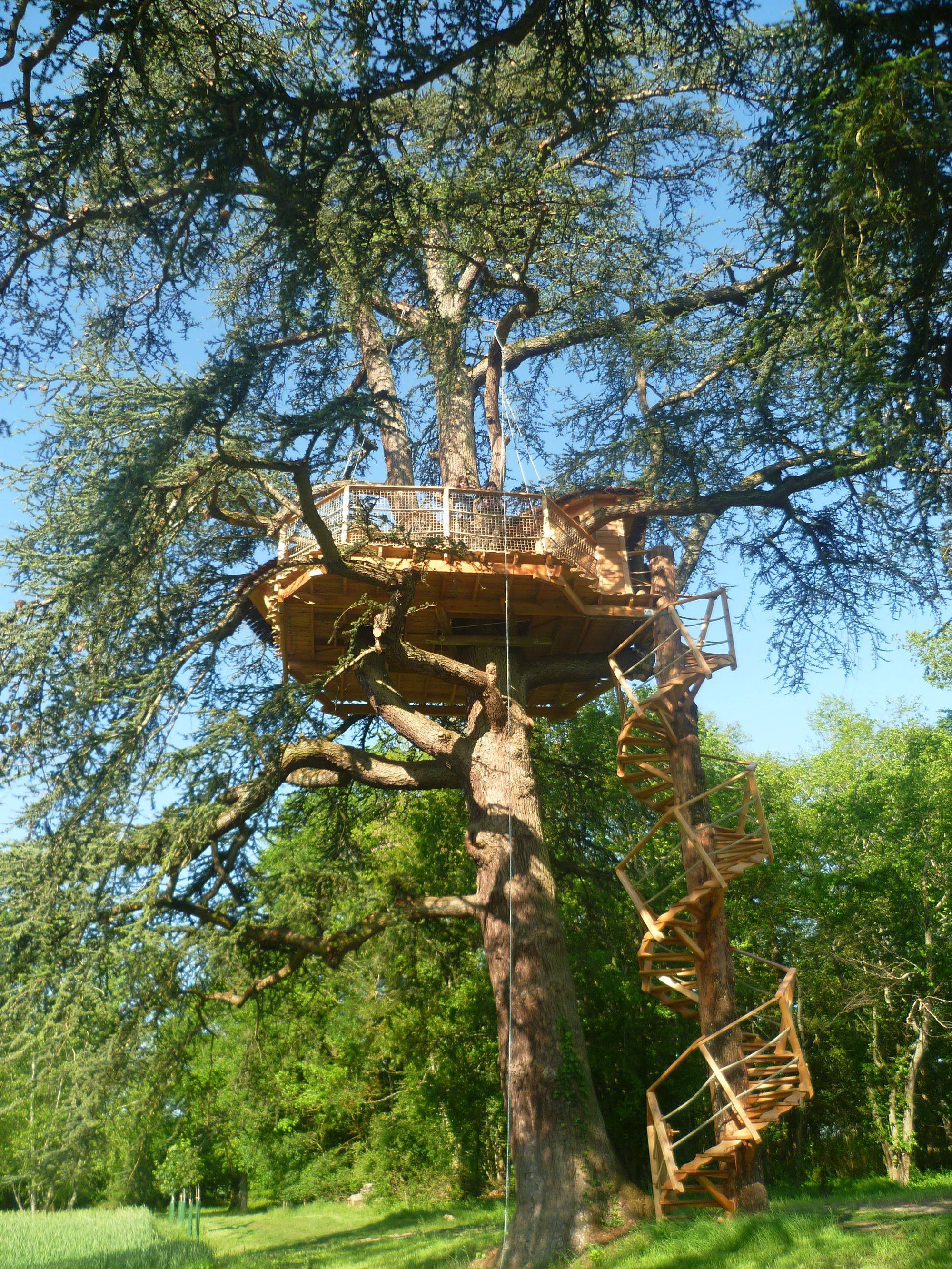 Cabane Africaine : une expérience suspendue dans les arbres à Ballan-Miré — vue intérieure