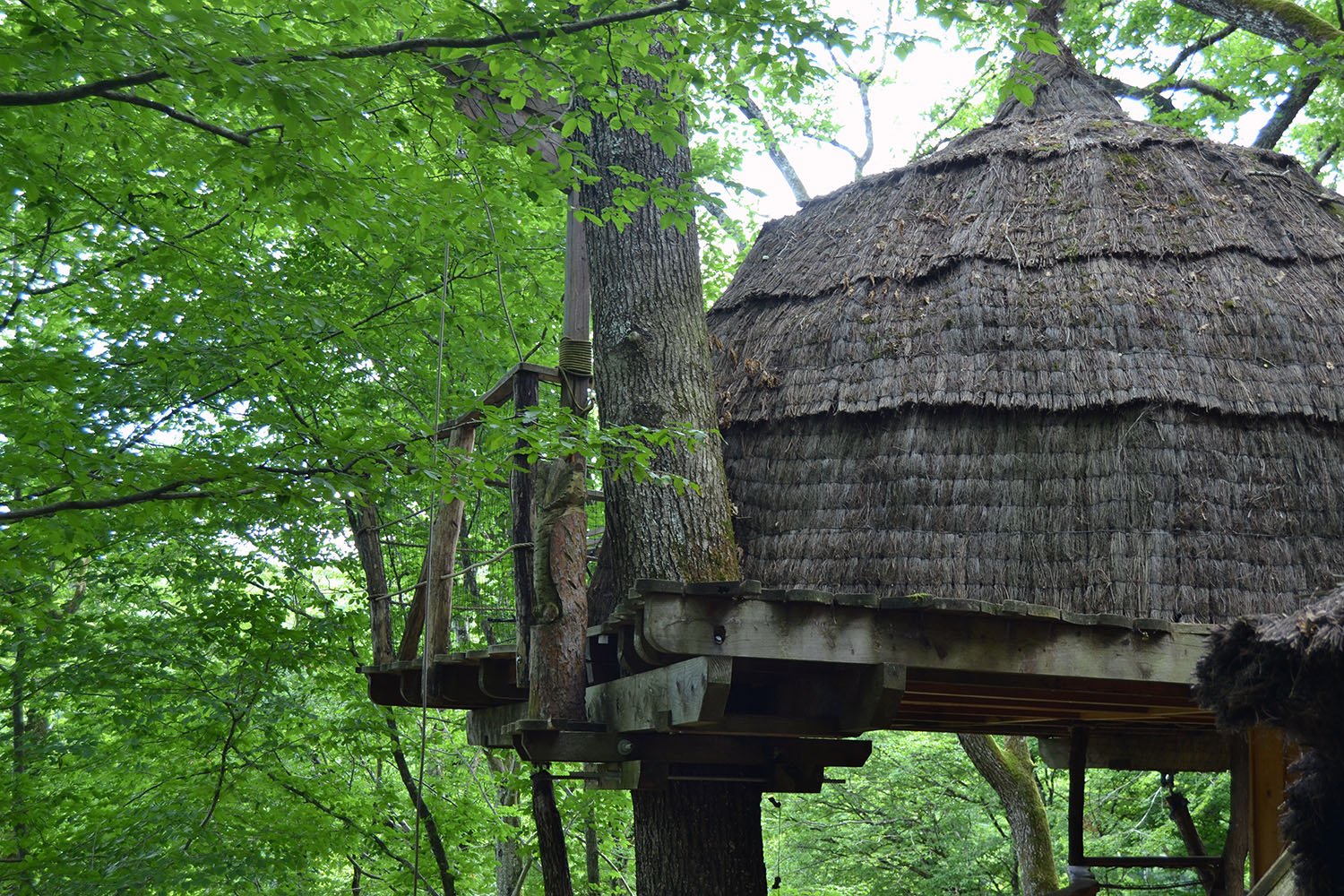 Cabane Canopée : une immersion dans les arbres en Franche-Comté à Ranchot — vue intérieure