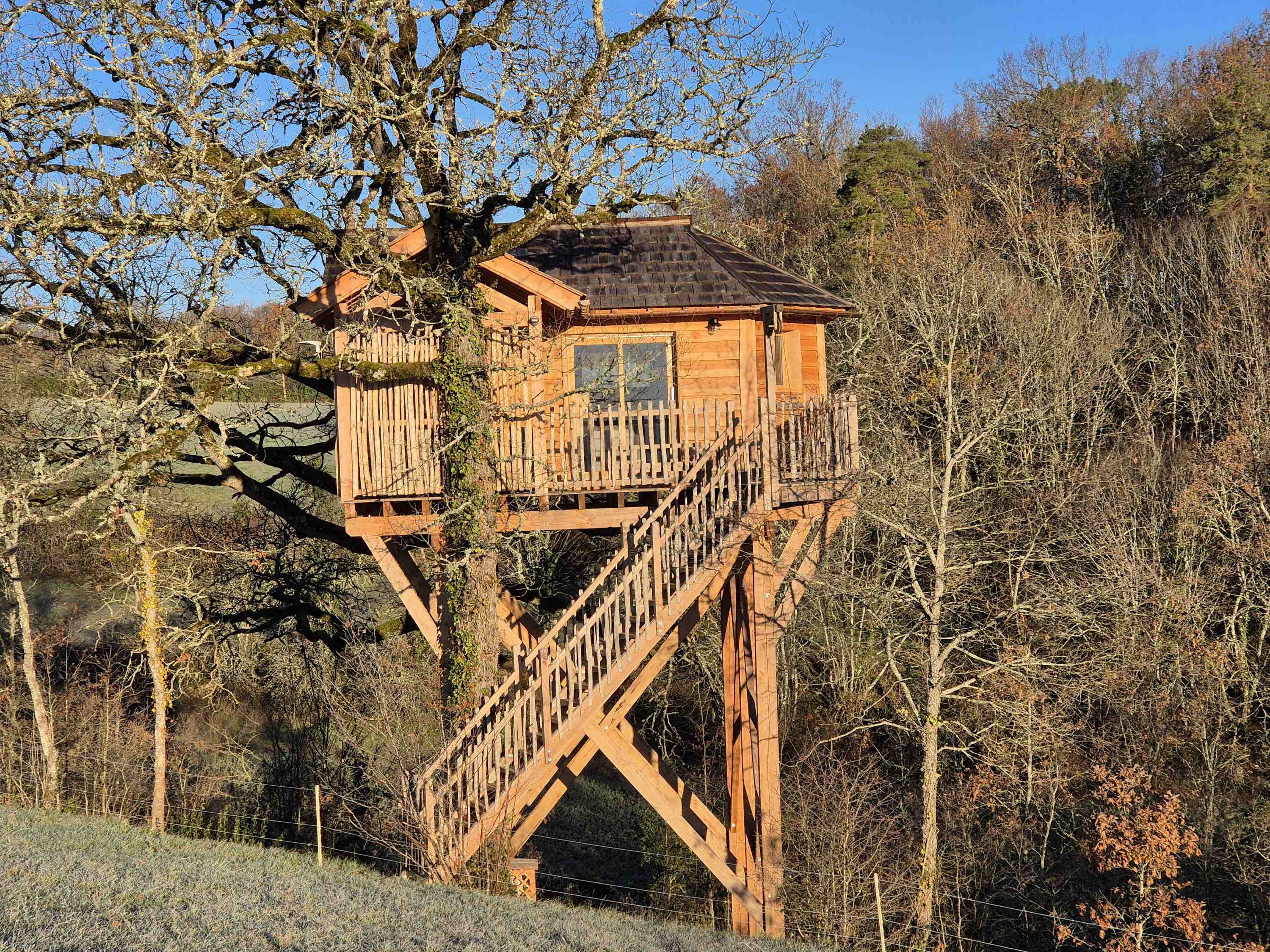 La Cabane des Nids en Périgord — Nuit perchée avec spa à 7m en Dordogne à Périgueux — espace de vie