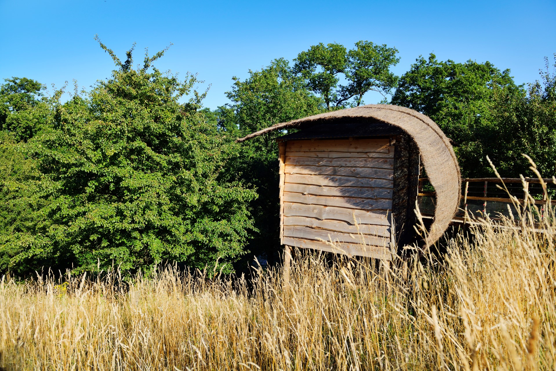 Chambre Nid 1 : une cabane au cœur de la Vendée à Les Epesses — vue depuis la terrasse