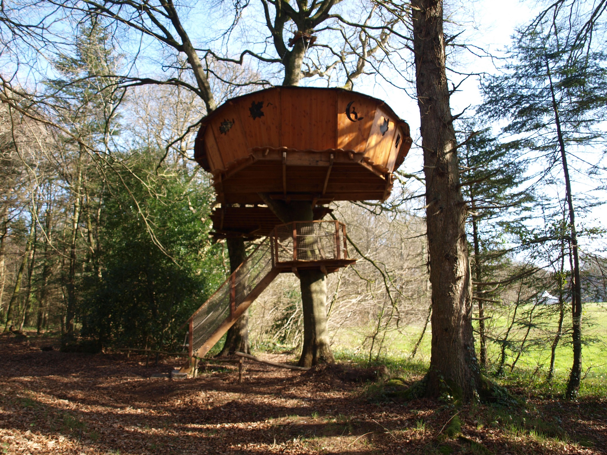 Cabane Jonquille : une évasion perchée en Bretagne