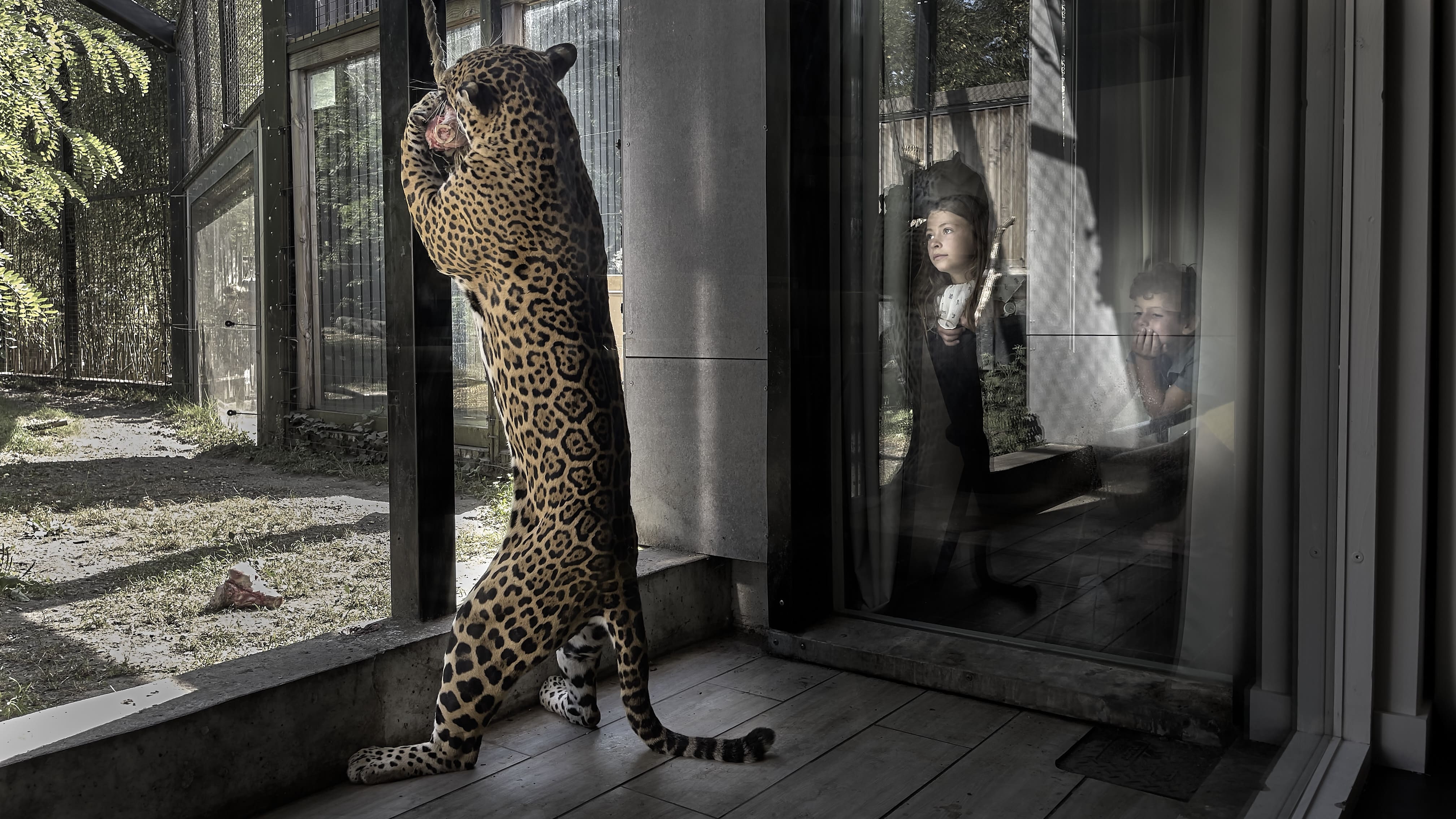 Lodge Jaguars : une immersion thématique en Aquitaine