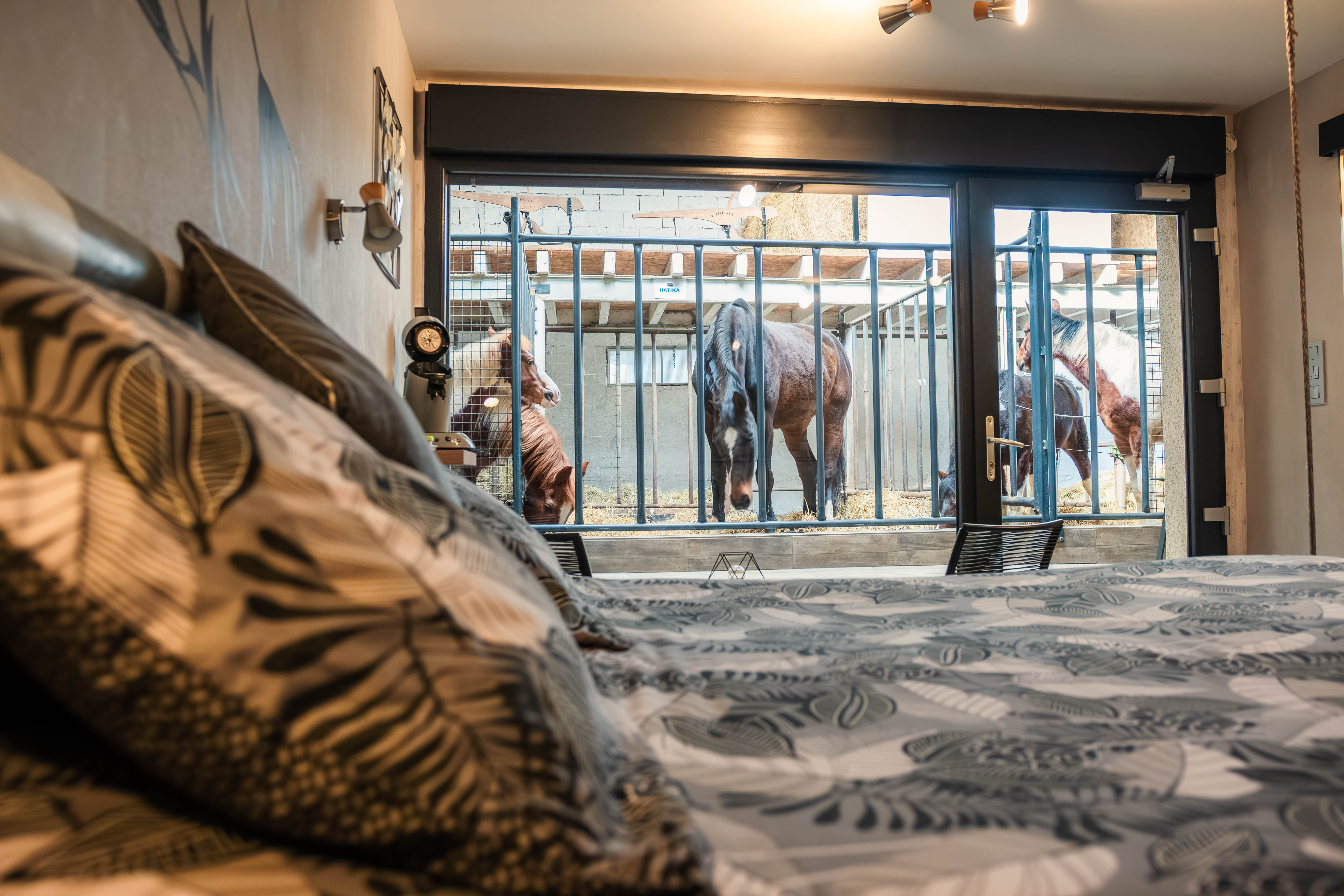 Lodge 2 - 4 pers. — Séjour paisible avec chevaux en Vosges à Épinal — vue intérieure