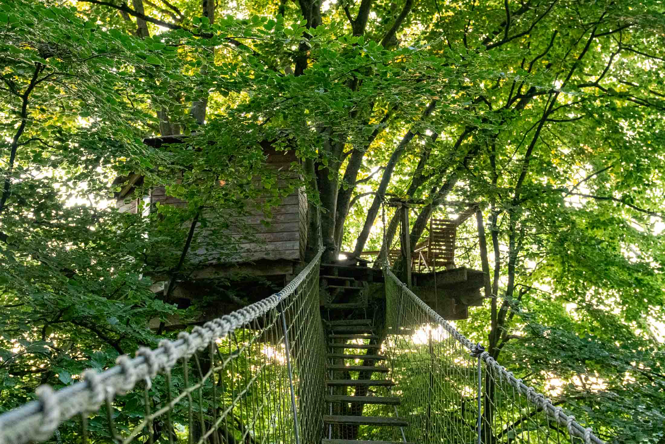 Cabane Epervier — Nuit perchée à 20m dans les arbres en Calvados