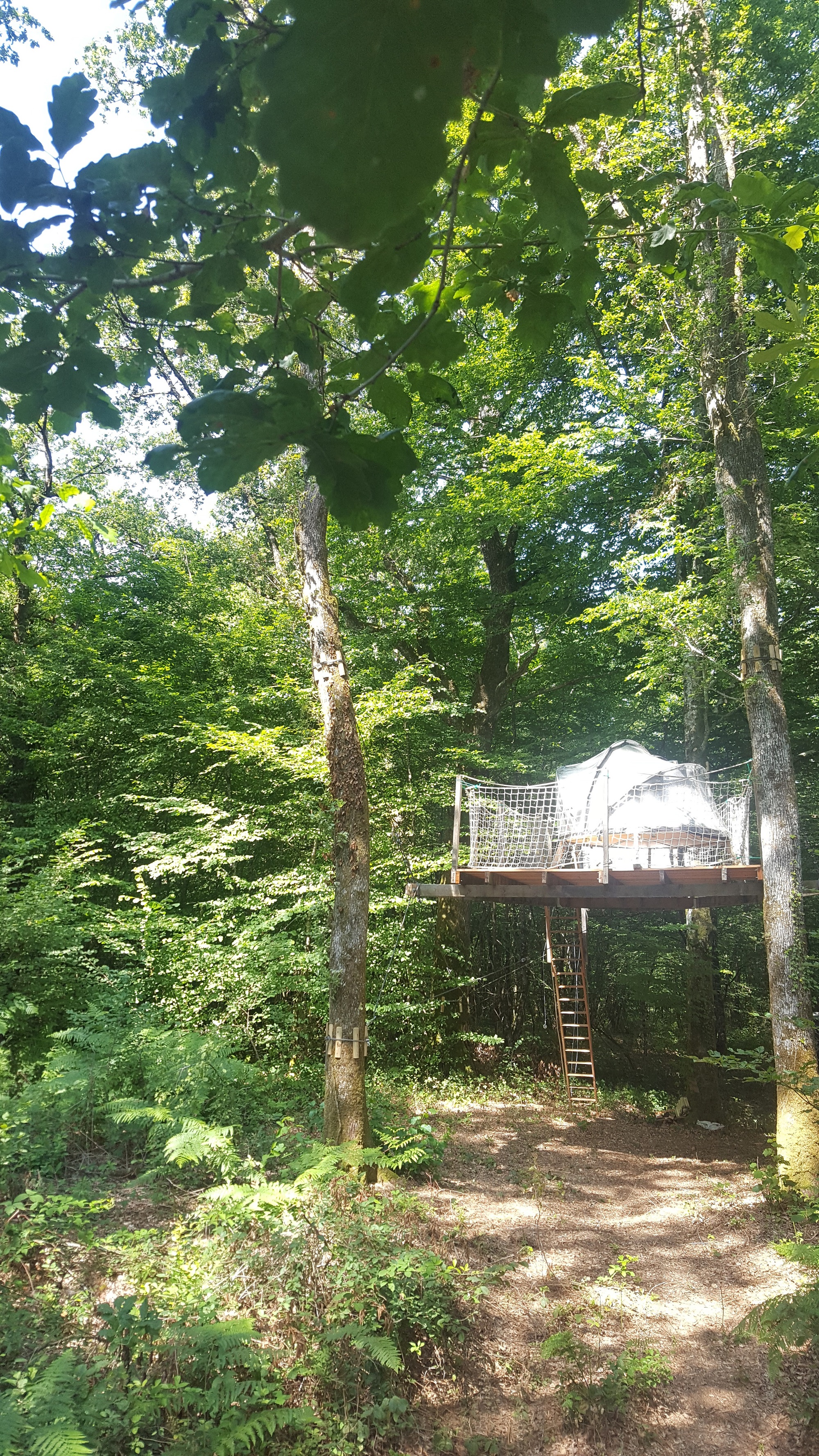 Vivez l'expérience unique d'une nuit dans une bulle suspendue en Franche-Comté à Mont Sous Vaudrey — détail architectural