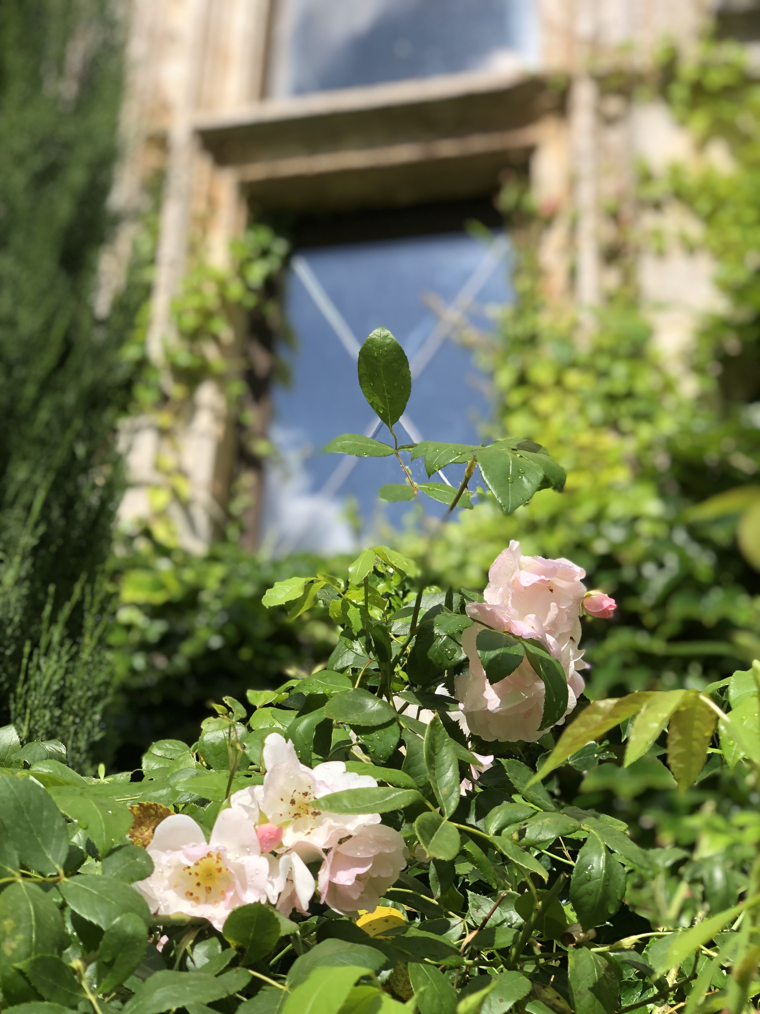 Chambre du Roi — Nuit historique dans un Château à Saint-Chamarand à Saint-Chamarand — cuisine