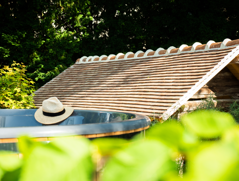 Le chalet nordique SPA — Ecolodge avec bain nordique à Seine-et-Marne à Serris — vue depuis la terrasse
