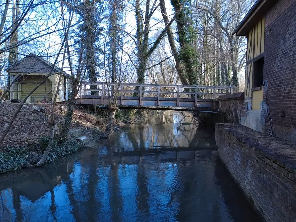 Bulle Perchée Étoile Filante & Spa